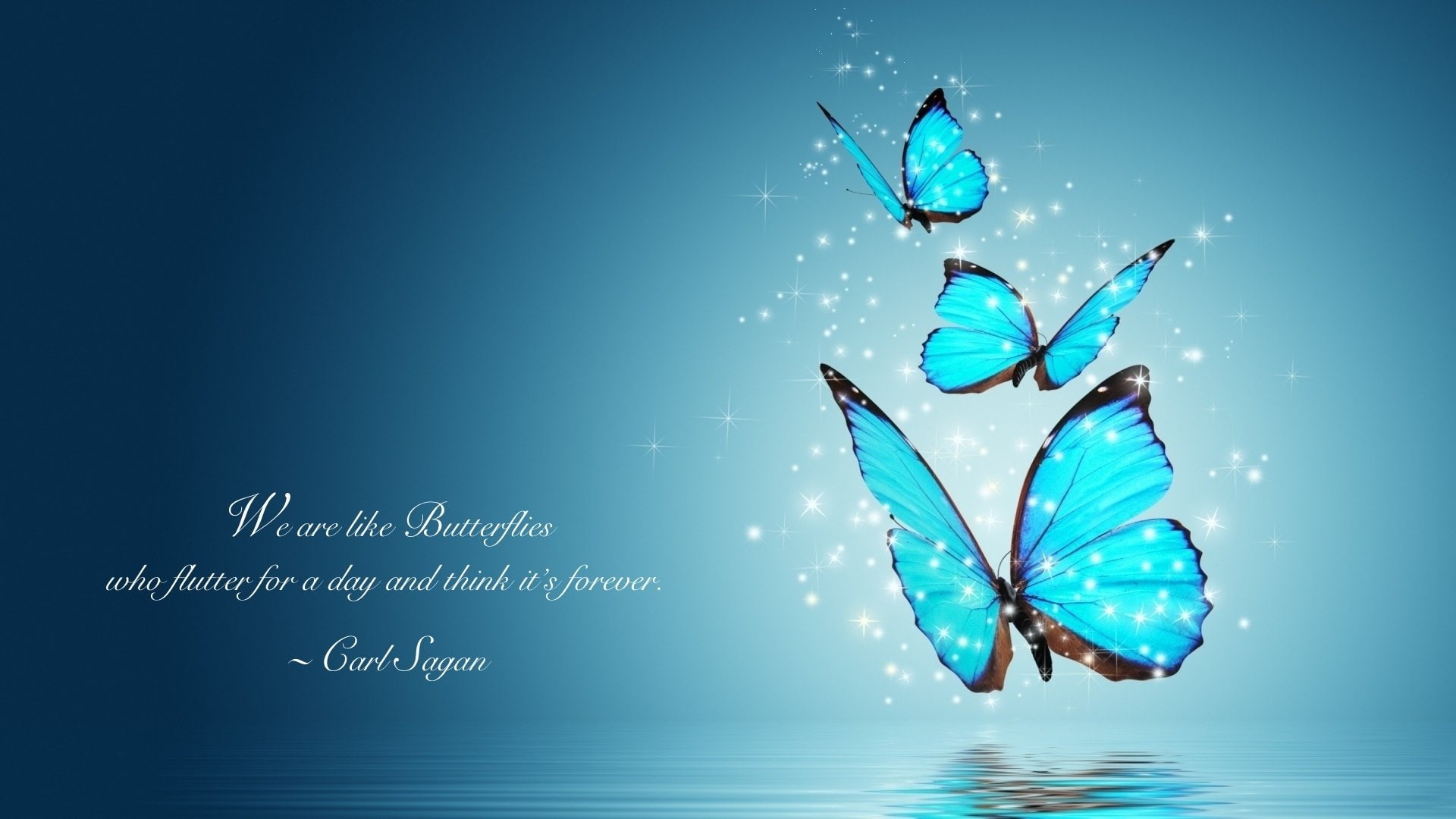 Digital Art, 1080P, Misc, Quote, Carl Sagan, Butterfly, HD Wallpaper