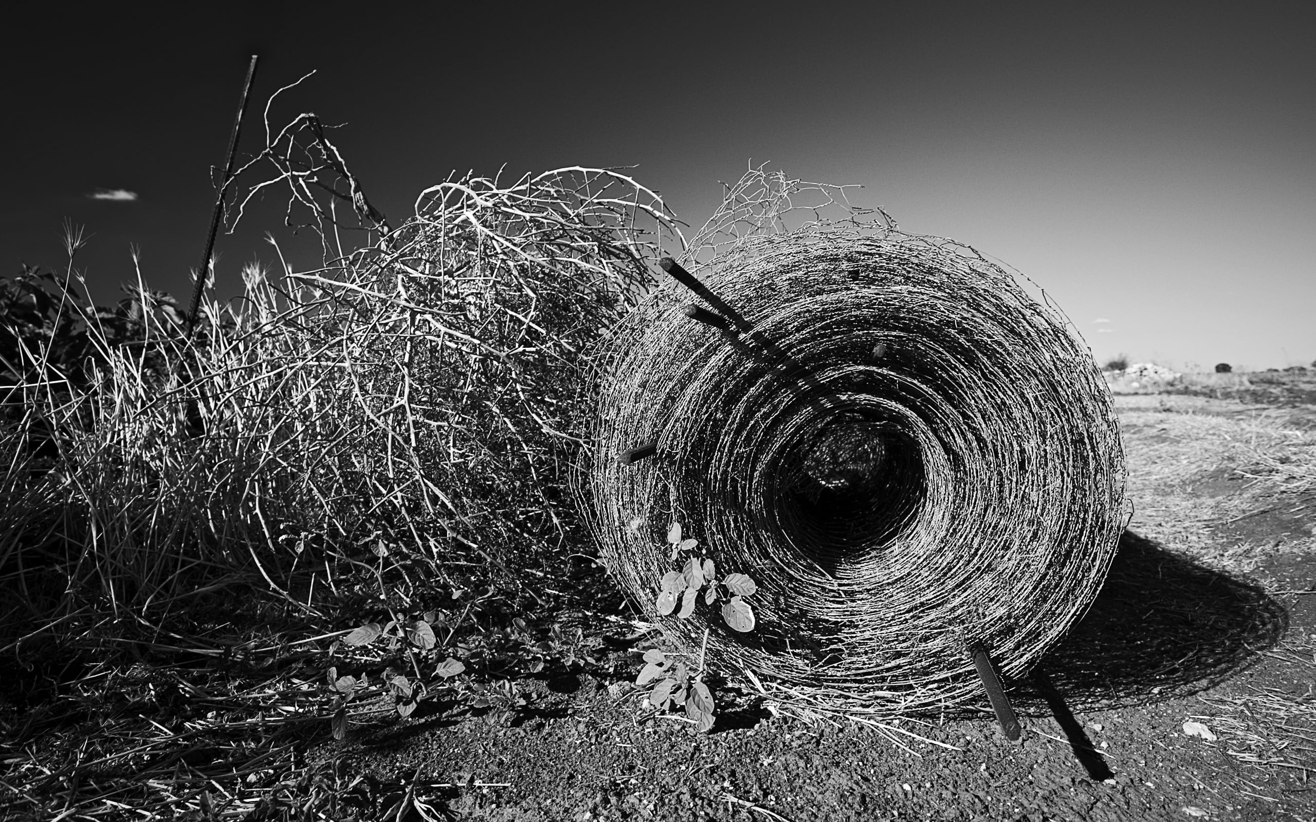 obsolete, art, black-and-white, day, illustration, nature, close-up, sky, old-fashioned, field, black And White, no People, retro Styled, clear sky, old, HD Wallpaper