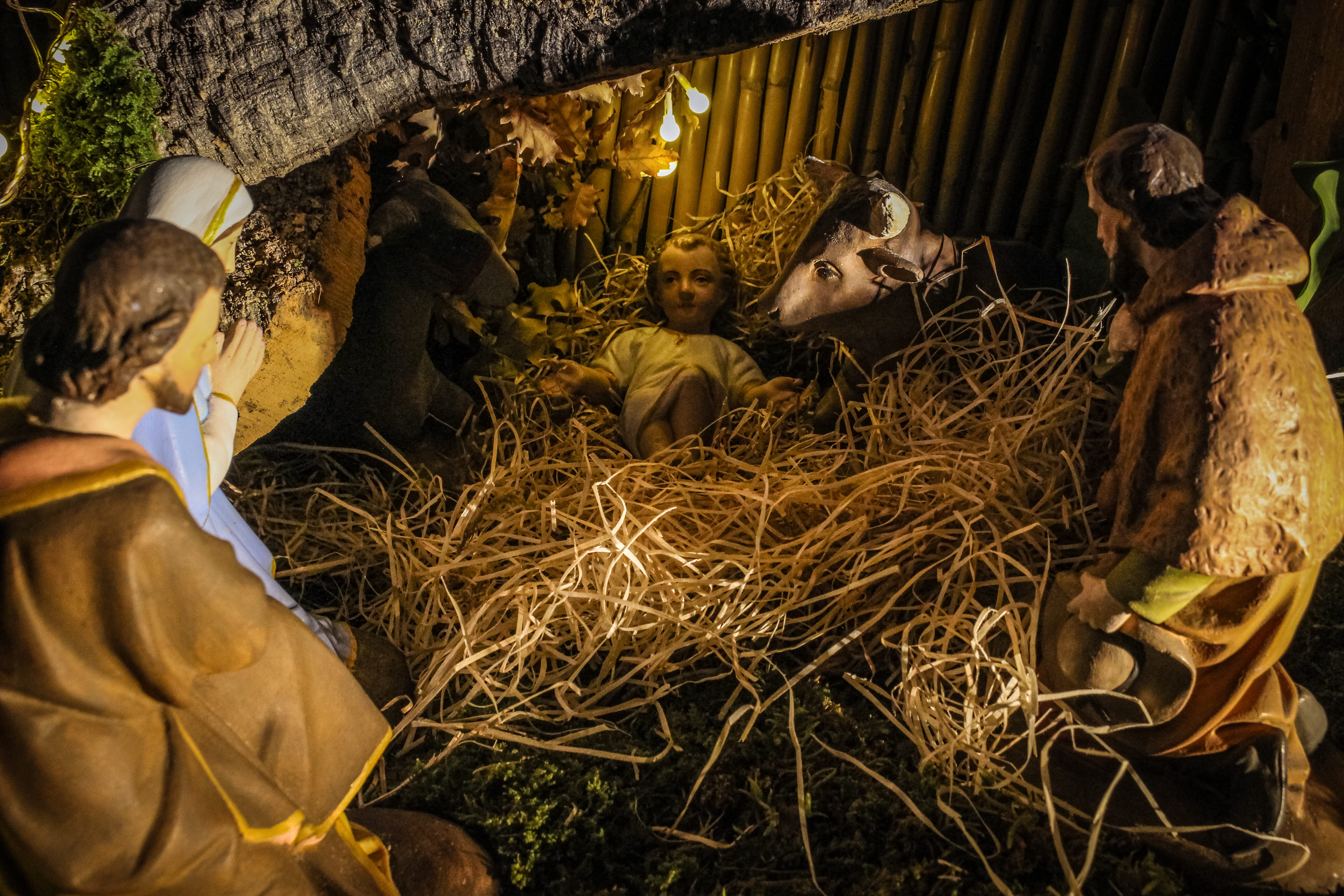 mammal, christmas, animal, adult, group of people, 5K, people, farm, jar, scarecrow, person, cattle, pets, manger, lifestyles, tree, soil, group of animals, HD Wallpaper