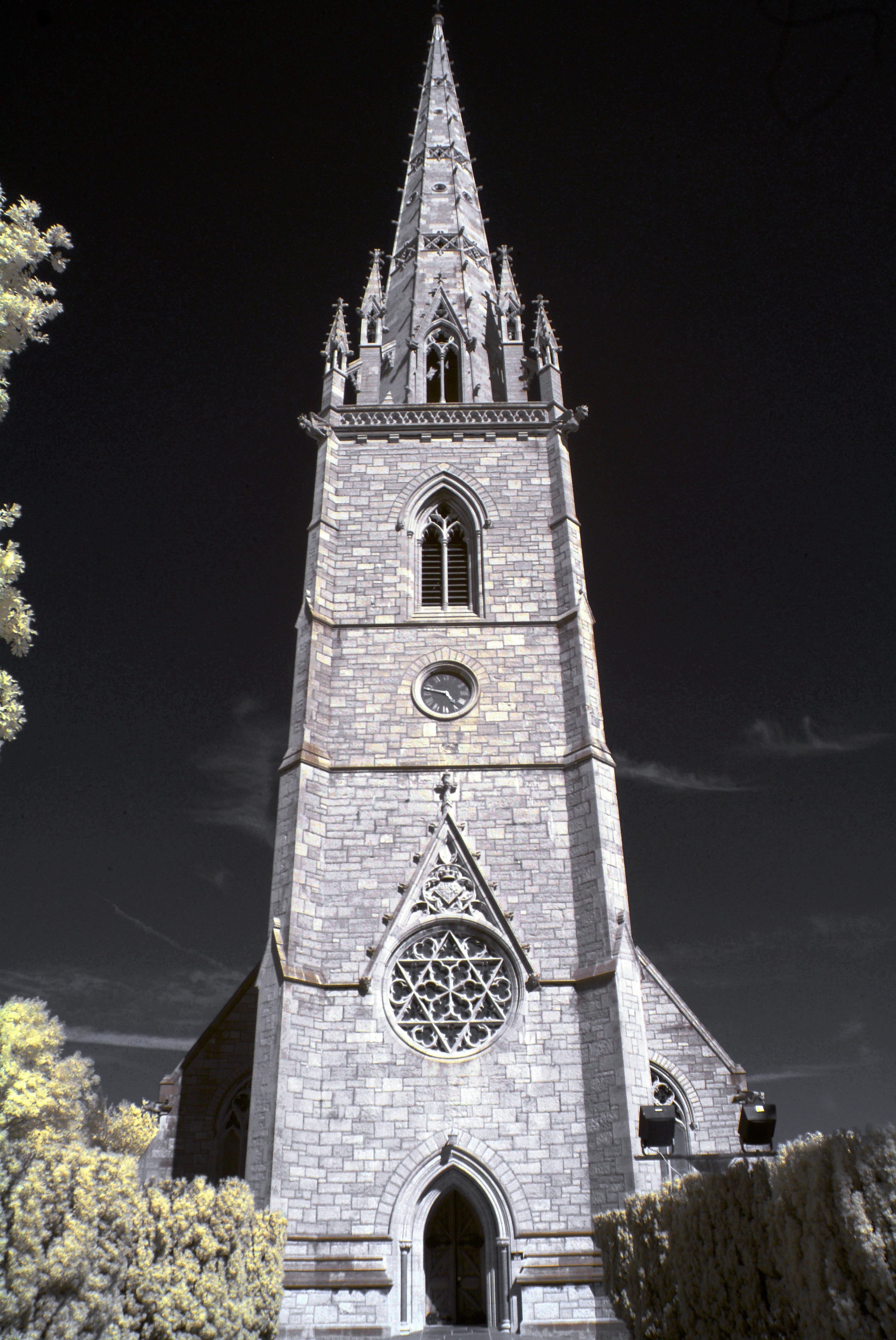 cathedral, built Structure, building, tree, spire, christianity, architecture, grey, no people, belief, outdoors, place of worship, concrete, church, sky, Phone HD Wallpaper