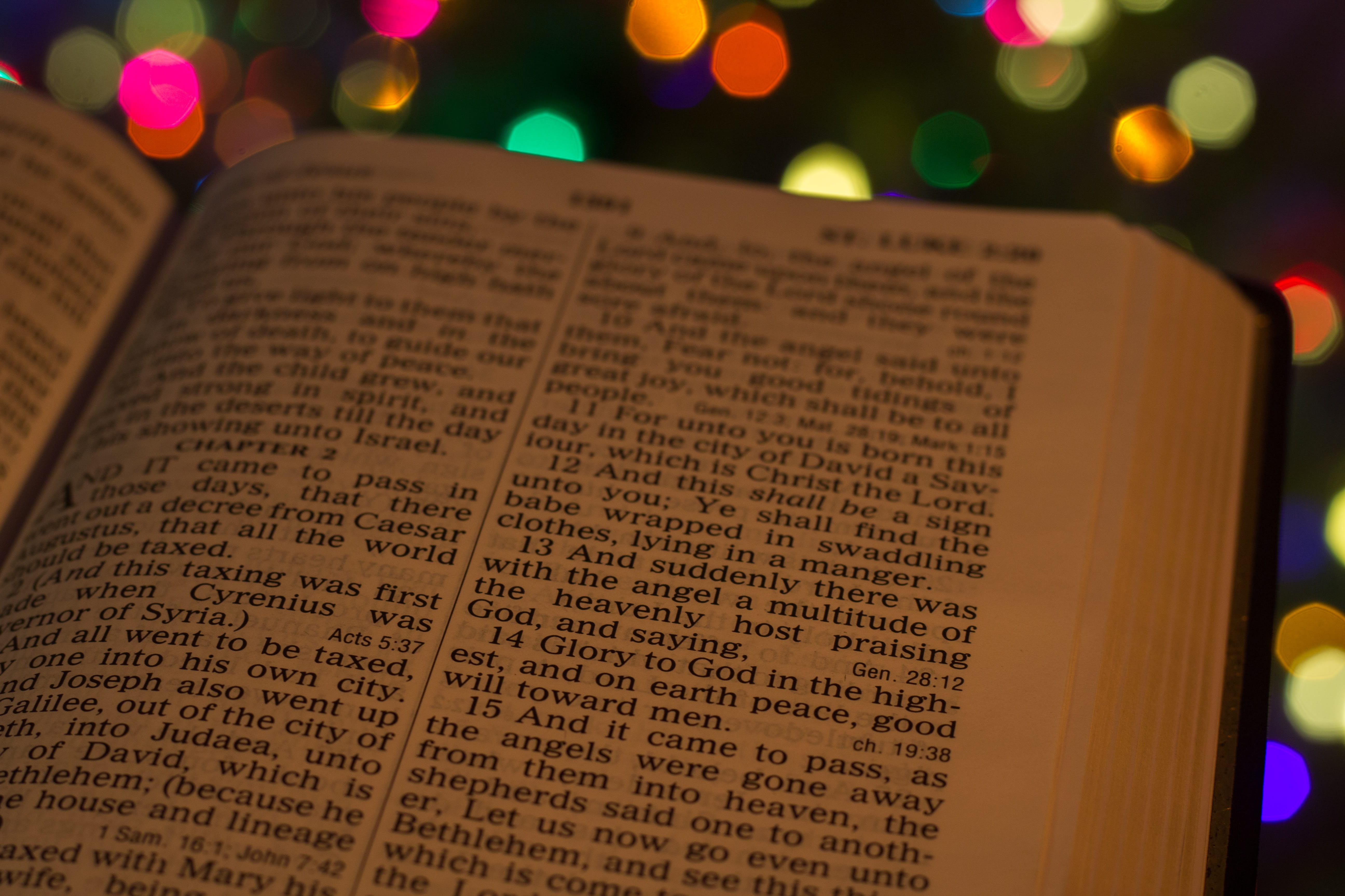 faith, publication, western script, illuminated, christmas, paper, holy, indoors, 5K, background, advent, page, script, focus on foreground, bible, multi colored, HD Wallpaper