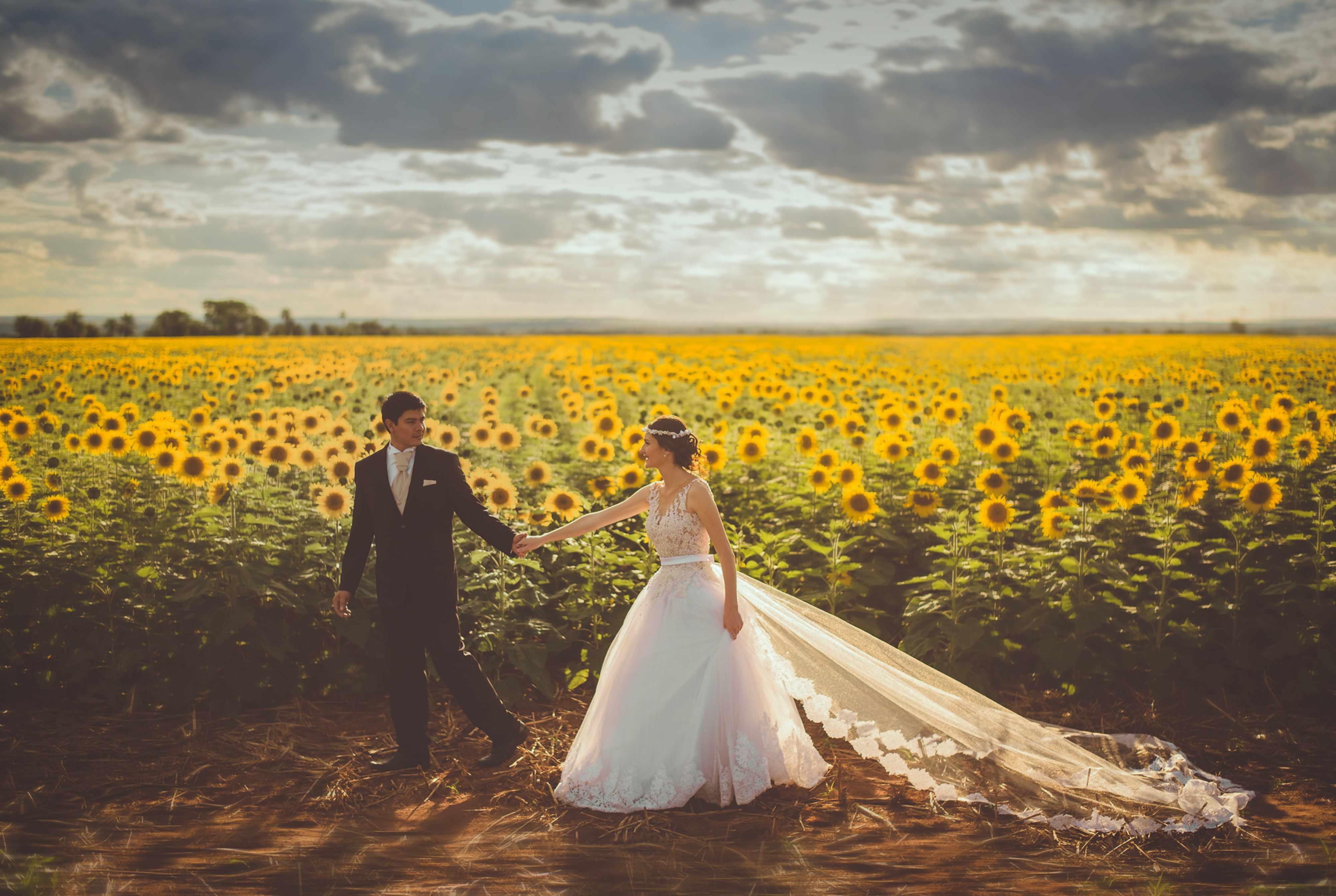 gown, sunflower, life events, blazer, groom, yellow, two people, full length, celebration, black, man, people, nature, bridegroom, young adult, 4K, couple, HD Wallpaper