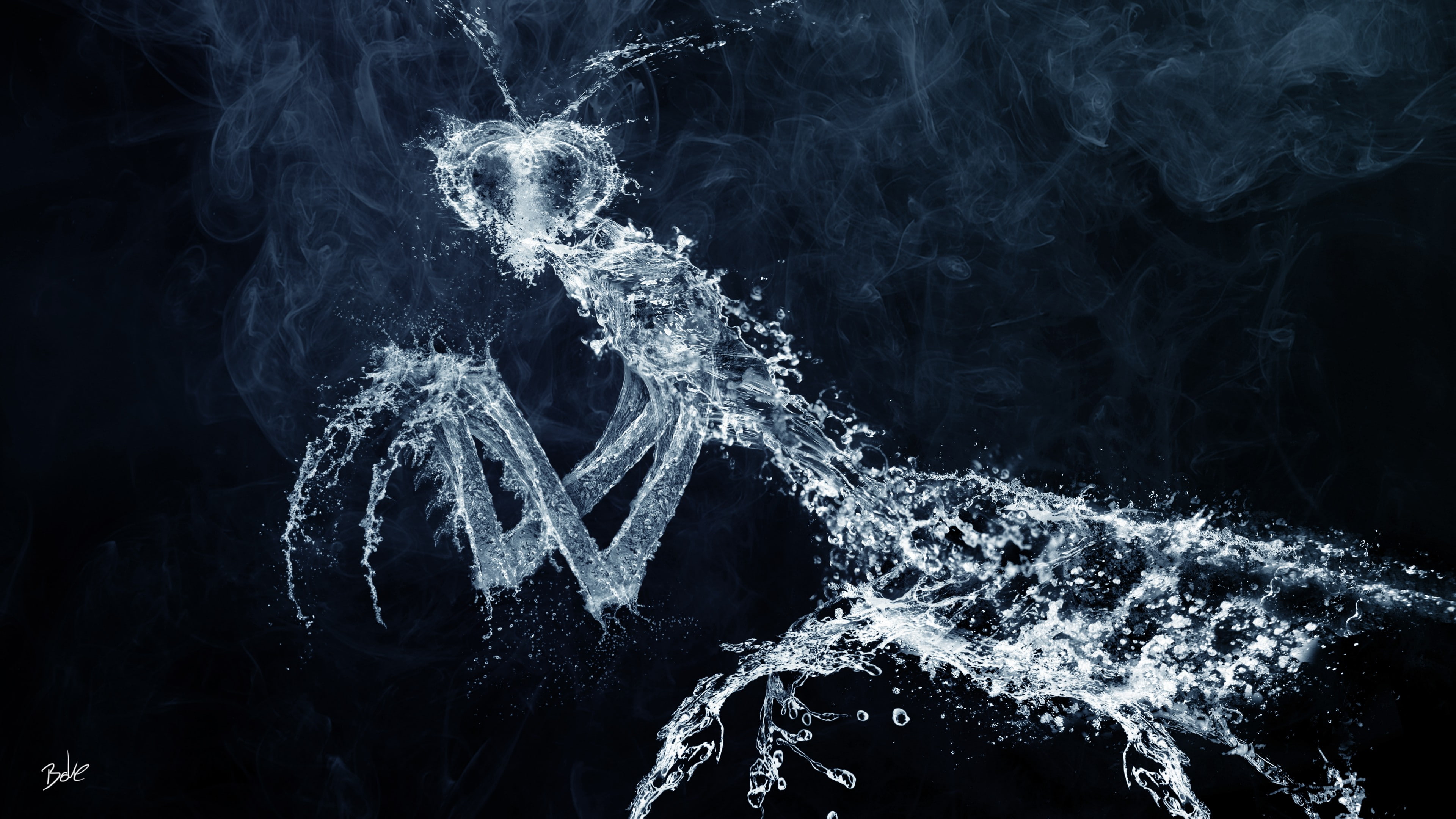 Praying Mantis, 4K, HD Wallpaper