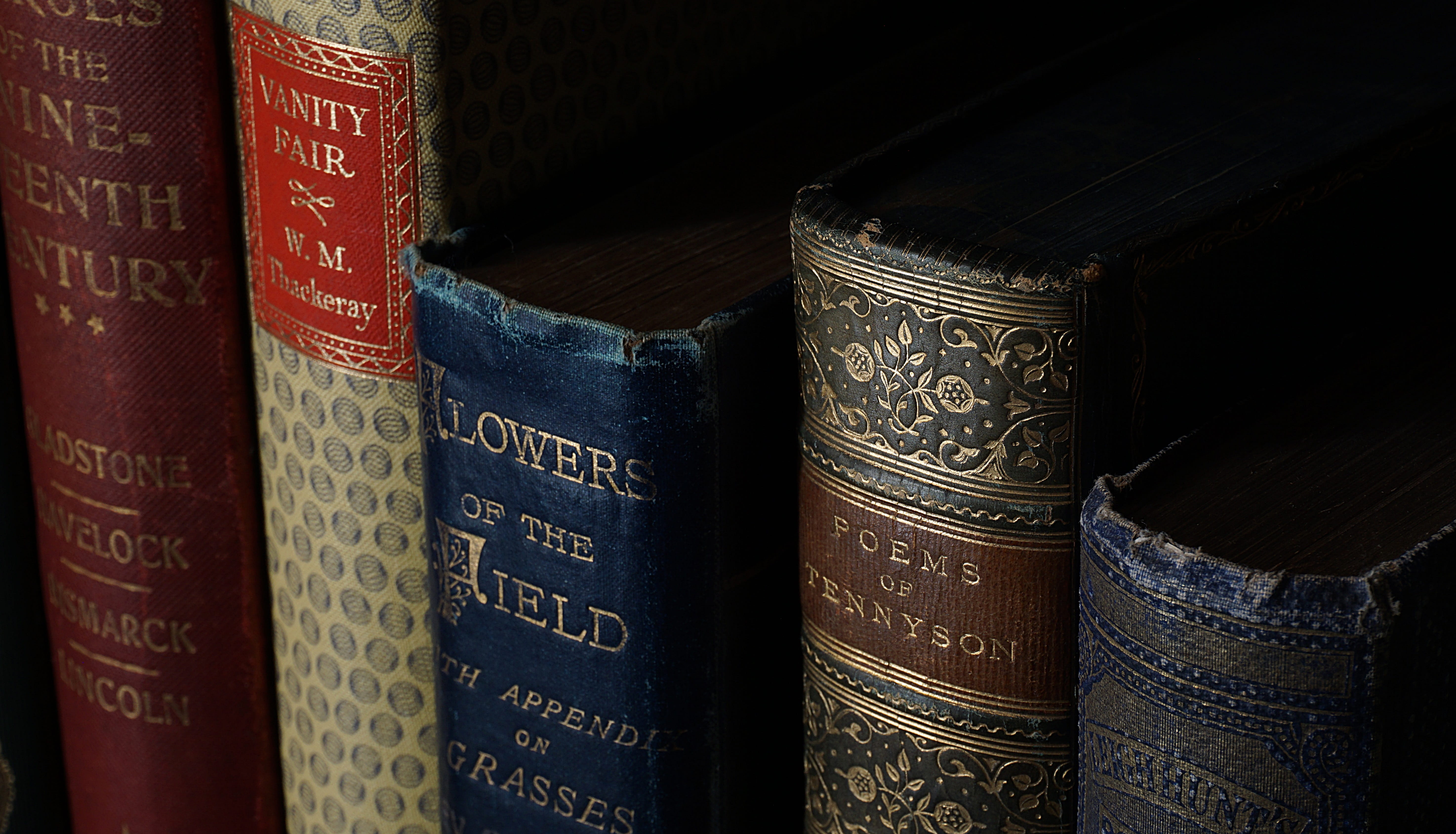 novels, library, studying, expertise, history, research, publication, close-up, book cover, books, antique, depth of field, hardbound, wisdom, text, bookshelf, HD Wallpaper