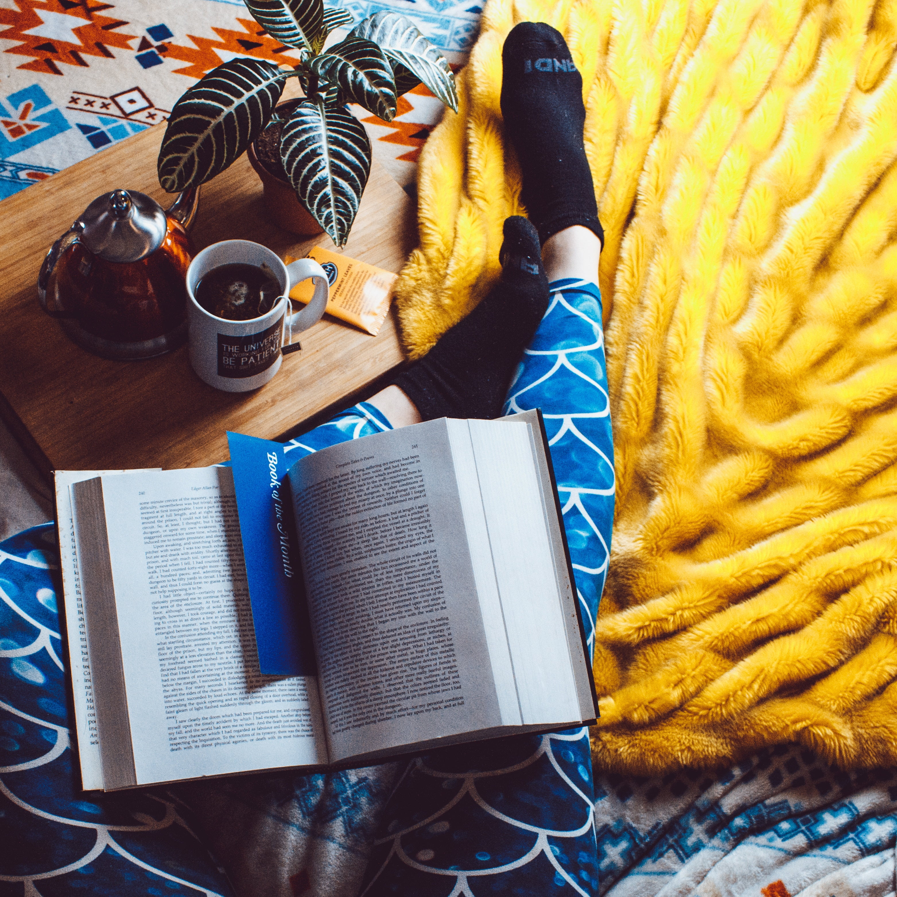 one person, drink, book, bed, refreshment, learning, tea, paper, blue, food and drink, publication, 2K, studying, rest, hardbound, coffee cup, education, Phone HD Wallpaper