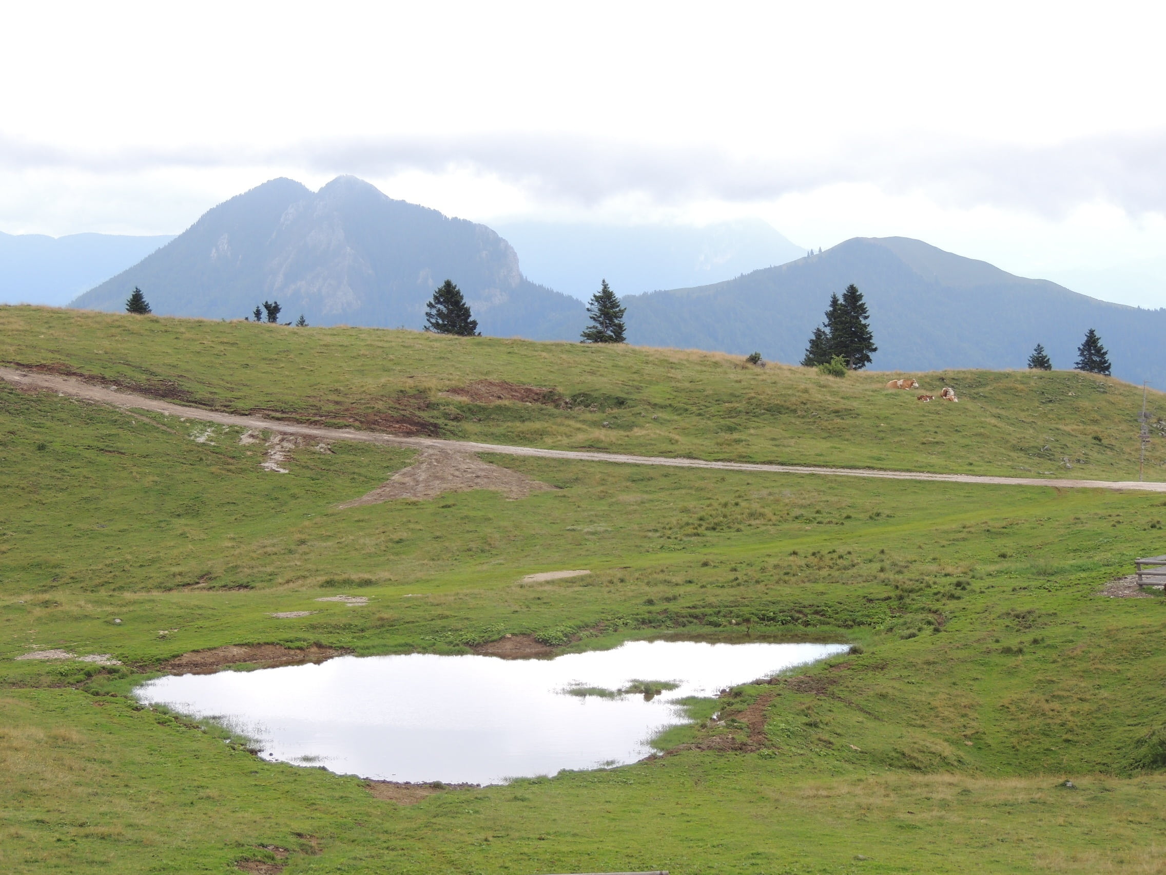 slovenia, landscape, no people, mountain, cloud - sky, lake, mountains, day, water, tranquil scene, non-urban scene, 1080P, green color, mala planina, HD Wallpaper
