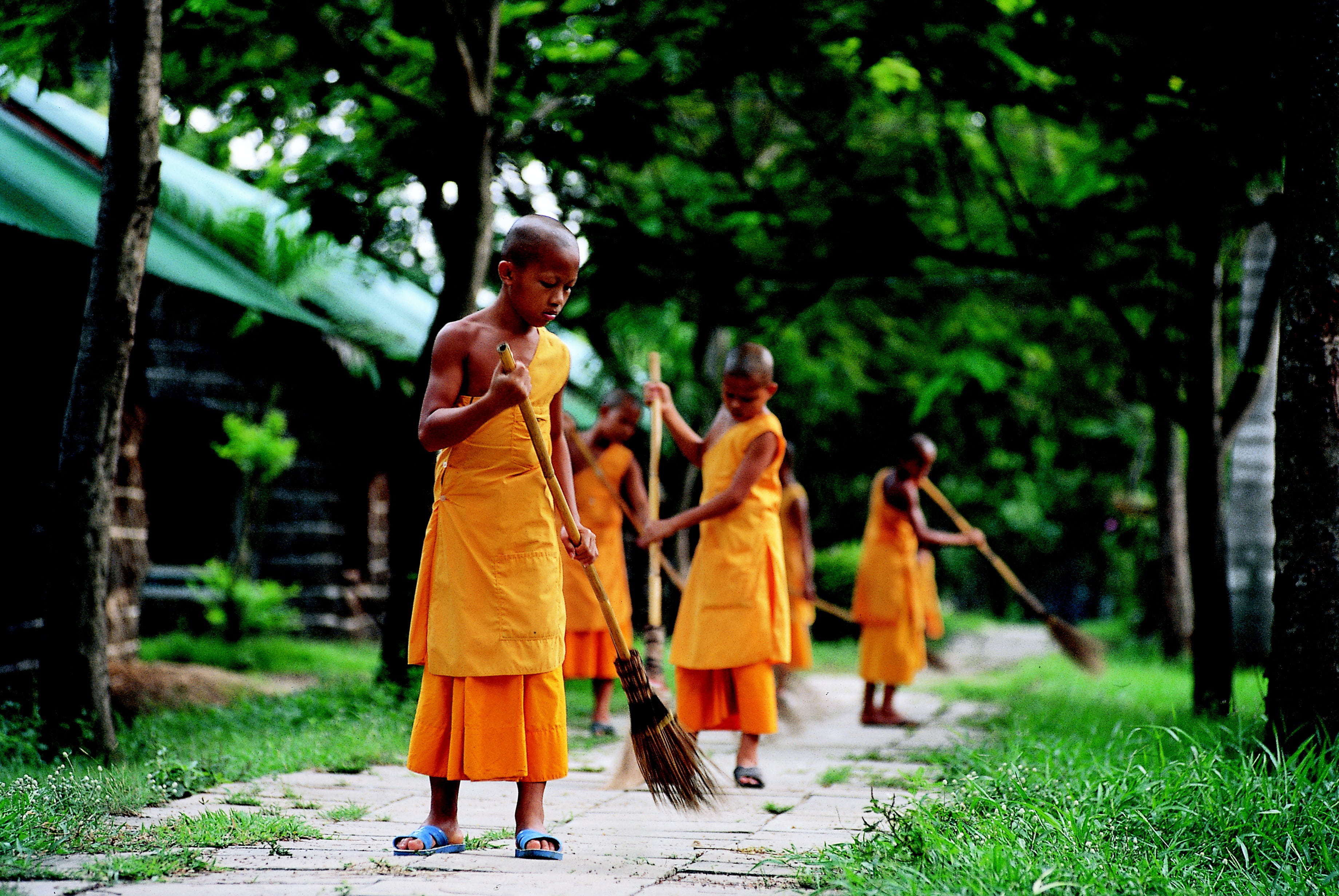 phra dhammakaya, plant, dhammakaya pagoda, religion, child, buddhism, growth, temple, thailand, dress, cultures, group of people, full length, buddhist, HD Wallpaper