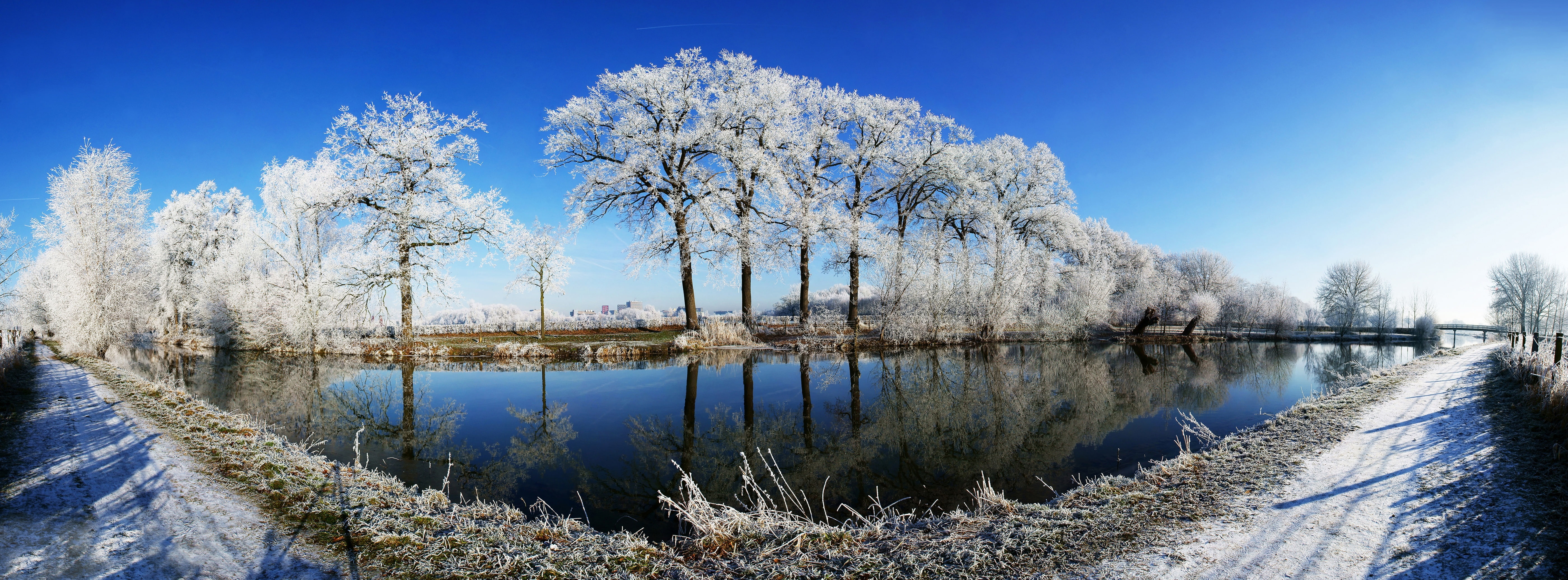 plant, Frosty, Scene, scenics - nature, no people, Netherlands, Kromme Rijn, Frozen, White, blue sky, coniferous tree, Fisheye, Landscape, non-urban scene, HD Wallpaper