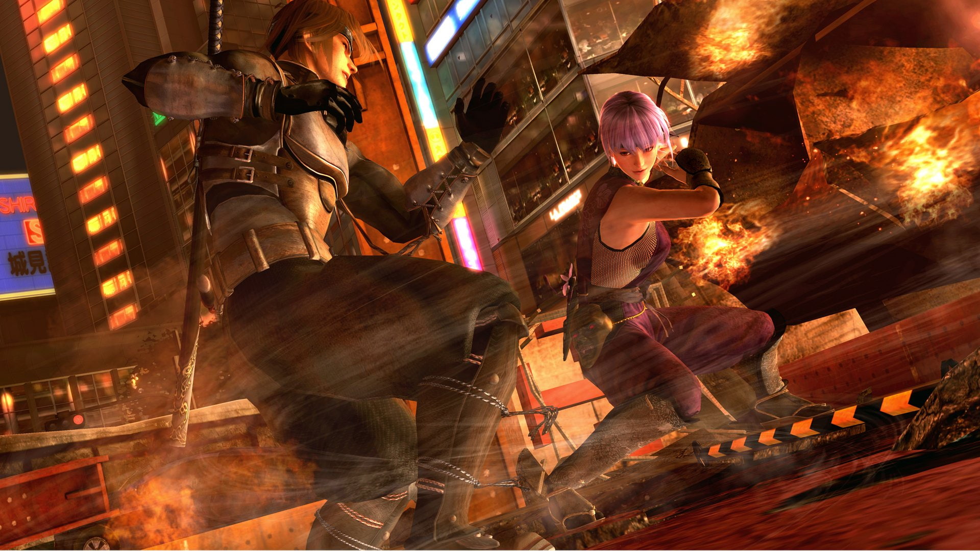 ninja, fighting, alive, warrior, 1080P, martial, dead, action, arcade, doa, HD Wallpaper