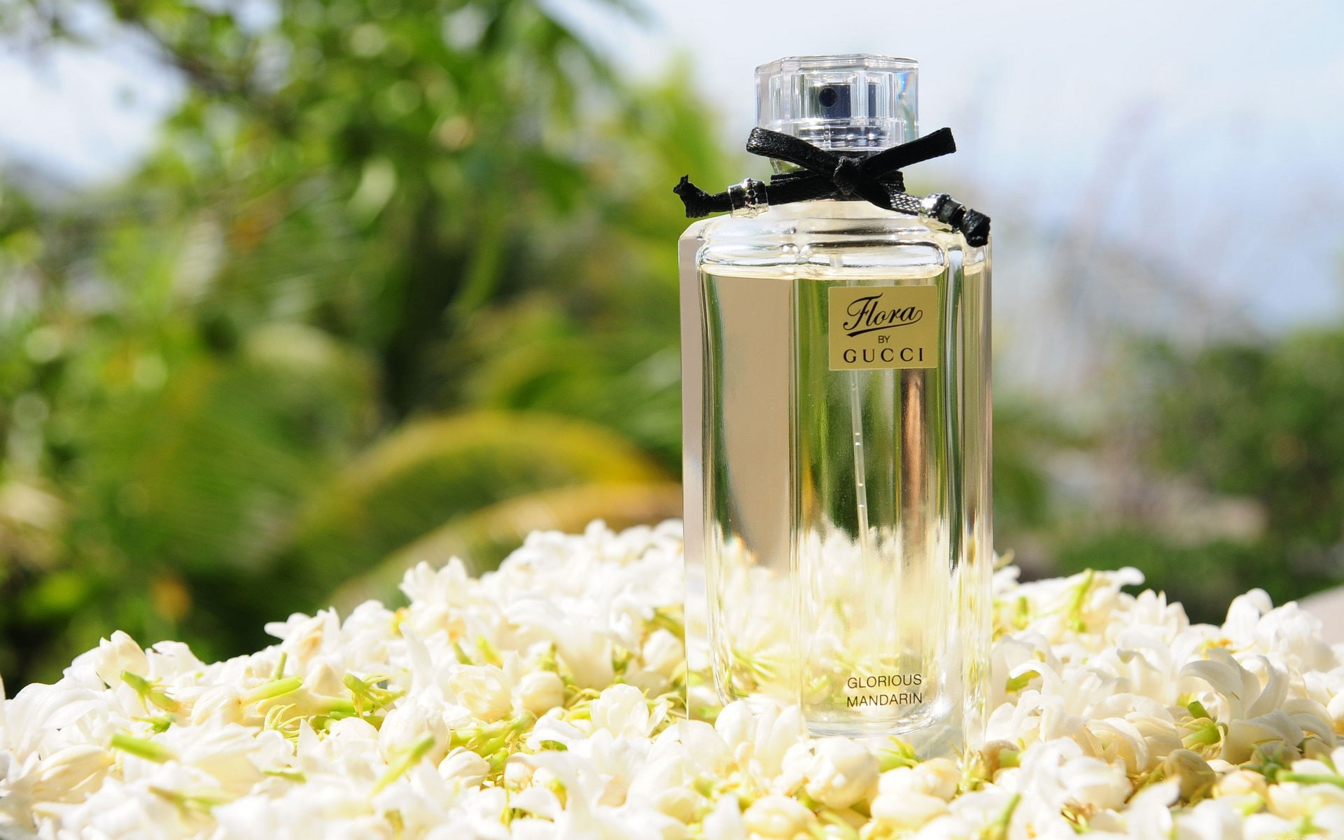 glass - material, gucci, vulnerability, focus on foreground, brand, flower, freshness, outdoors, day, close-up, 1080P, white color, flowering plant, perfume, HD Wallpaper