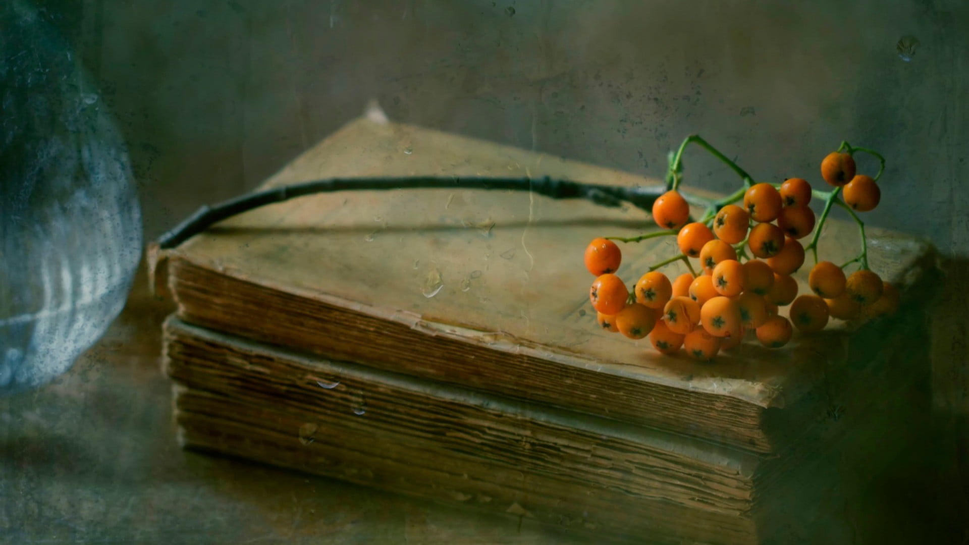 container, healthy eating, wood - material, leaf, close-up, no people, food and drink, still life, ripe, freshness, food, fruits, outdoors, book, orange, HD Wallpaper
