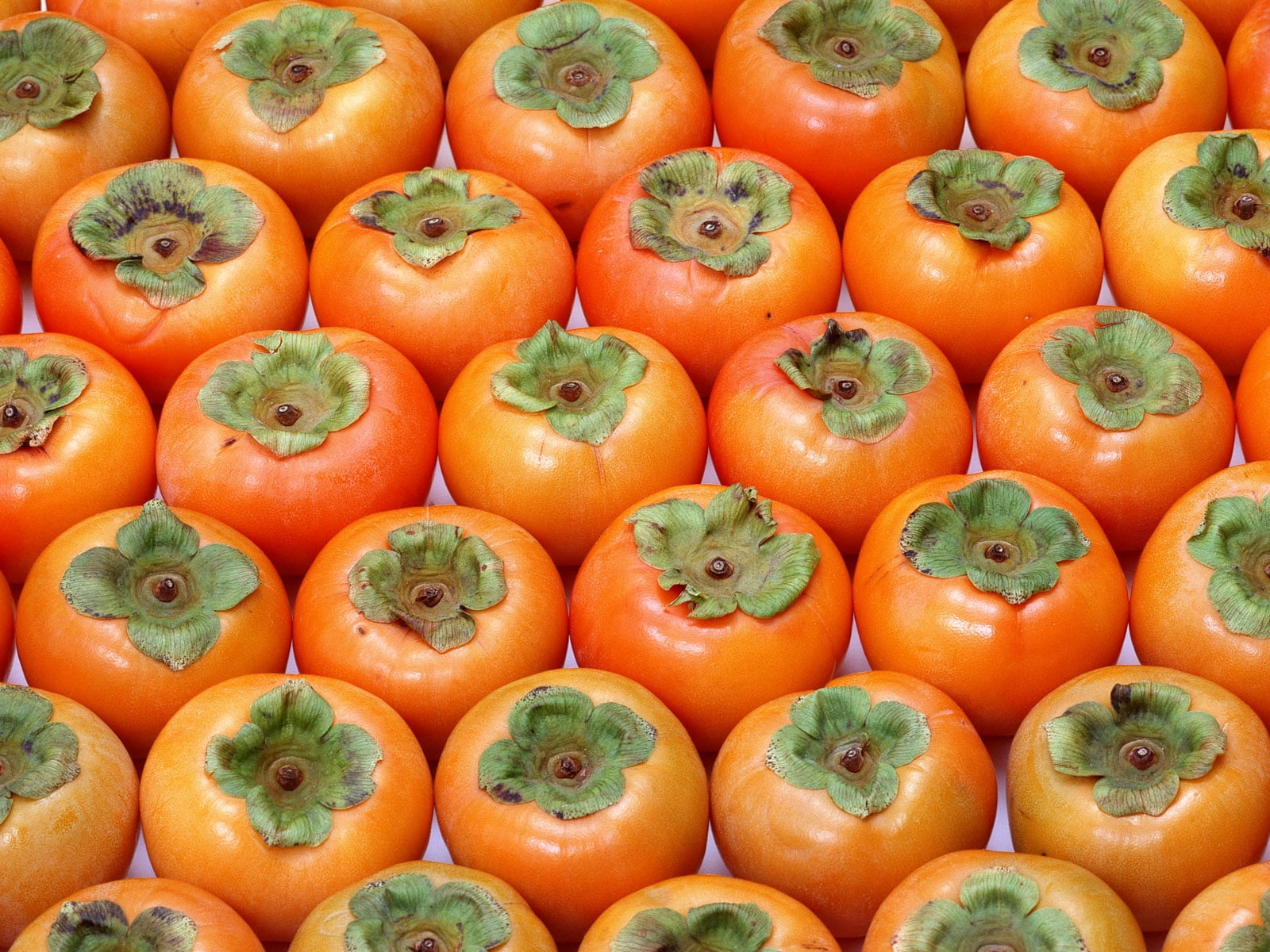 720P, tomato, vegetarian Food, arrangement, agriculture, food And Drink, green Color, fruit, in a row, market, persimmon, food, tomatoes, organic, large Group of Objects, HD Wallpaper