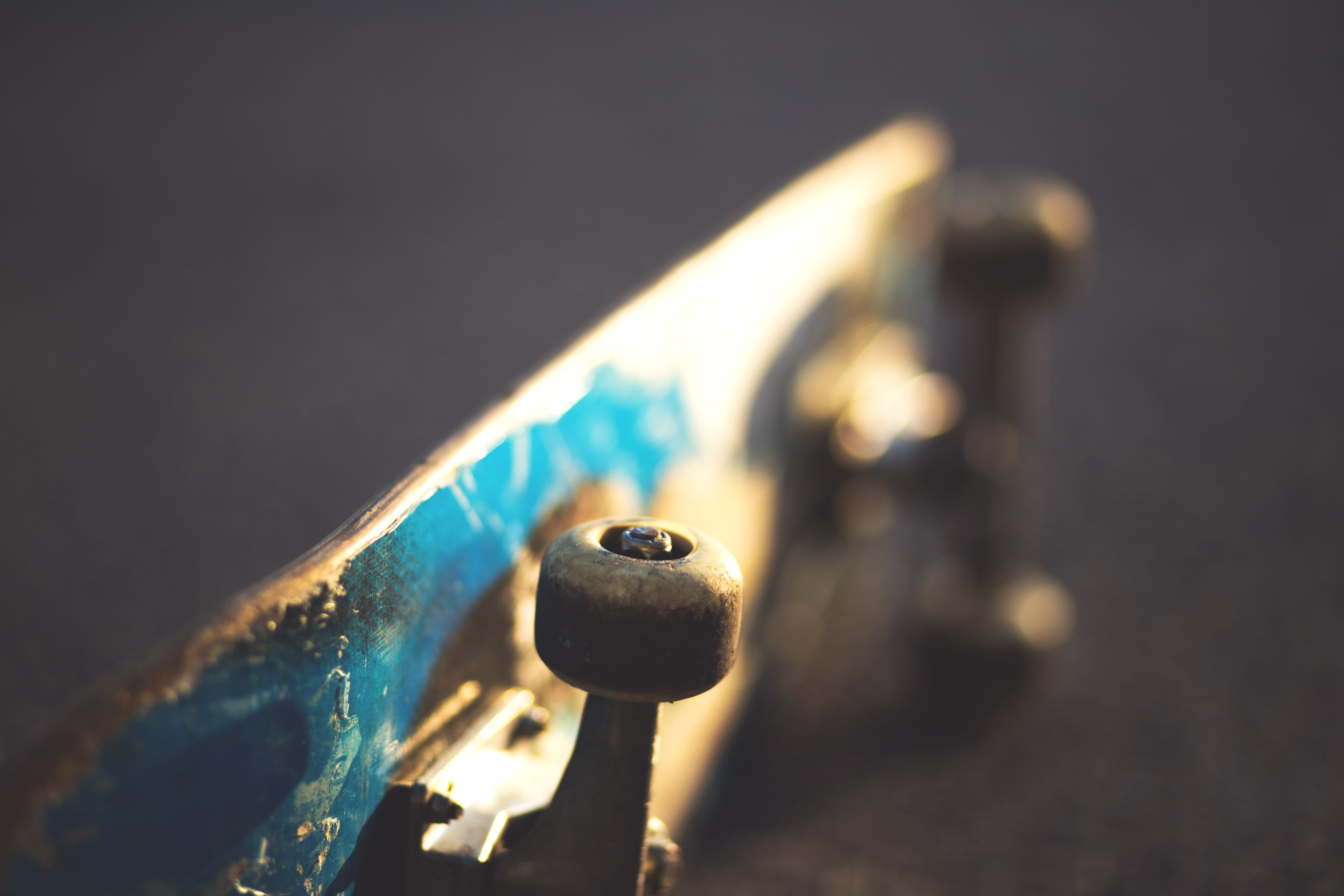 asphalt, technology, day, metal, high angle view, animal themes, nature, laying, street, deck, close-up, equipment, indoors, selective focus, city, one animal, HD Wallpaper