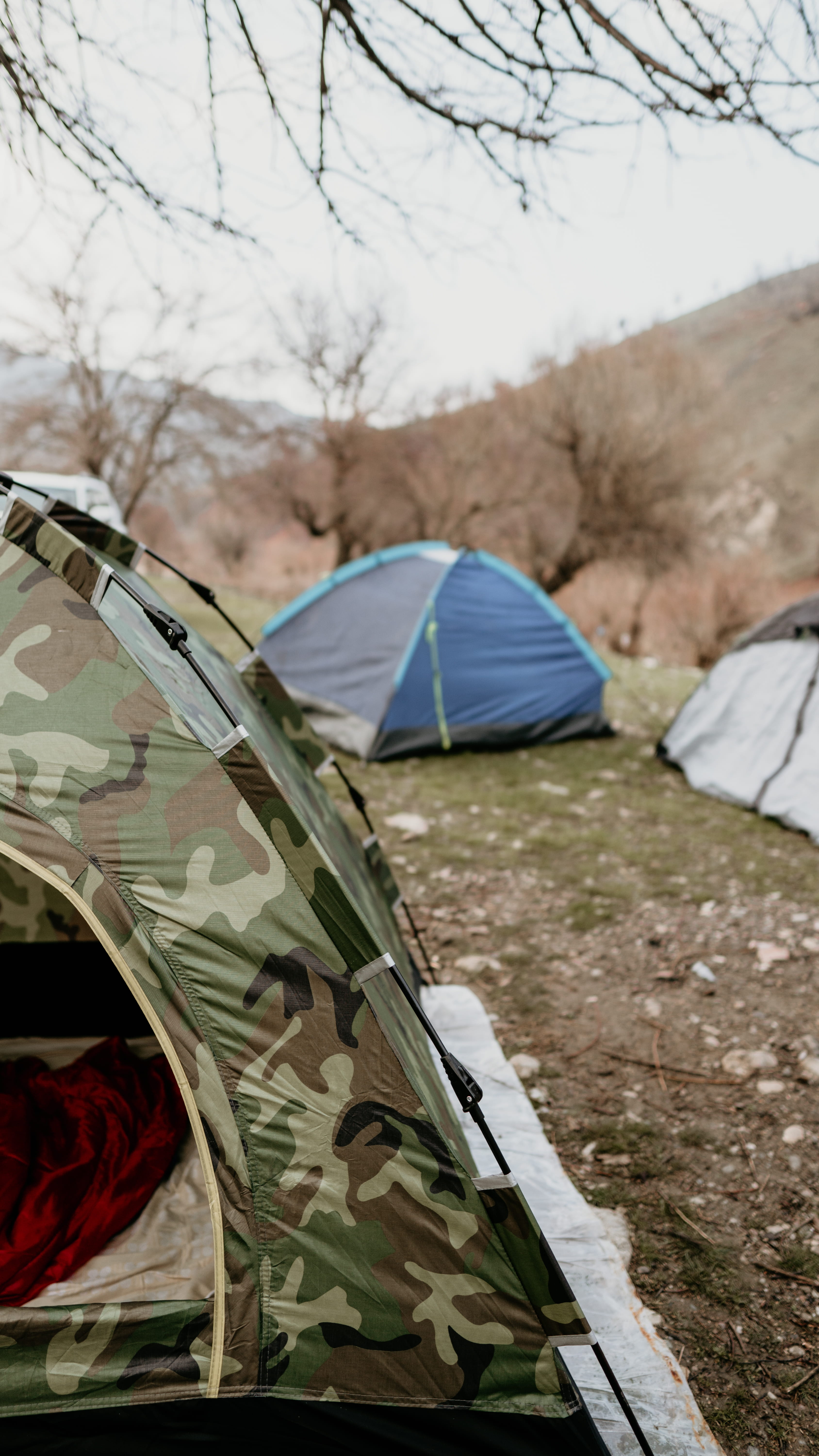 tent, day, nature, aircraft, invertebrate, sky, focus on foreground, mountain tent, land, camping, plant, no people, fire, airplane, outdoors, airliner, Phone HD Wallpaper