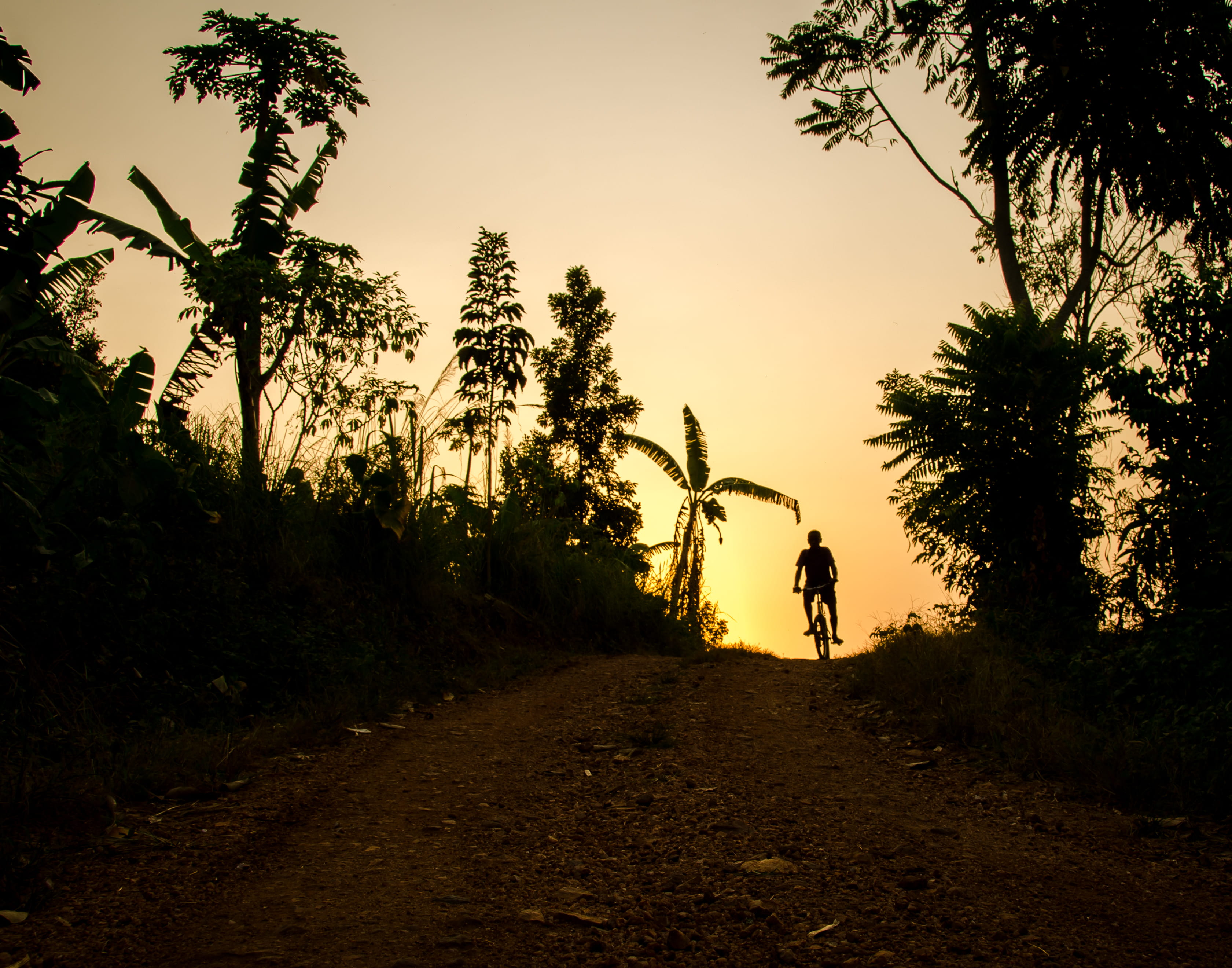 plant, land, rough, gravel, direction, one person, human, sky, dawn, silhouette, person, tree, dusk, sunset, activity, walking, the way forward, leisure activity, HD Wallpaper
