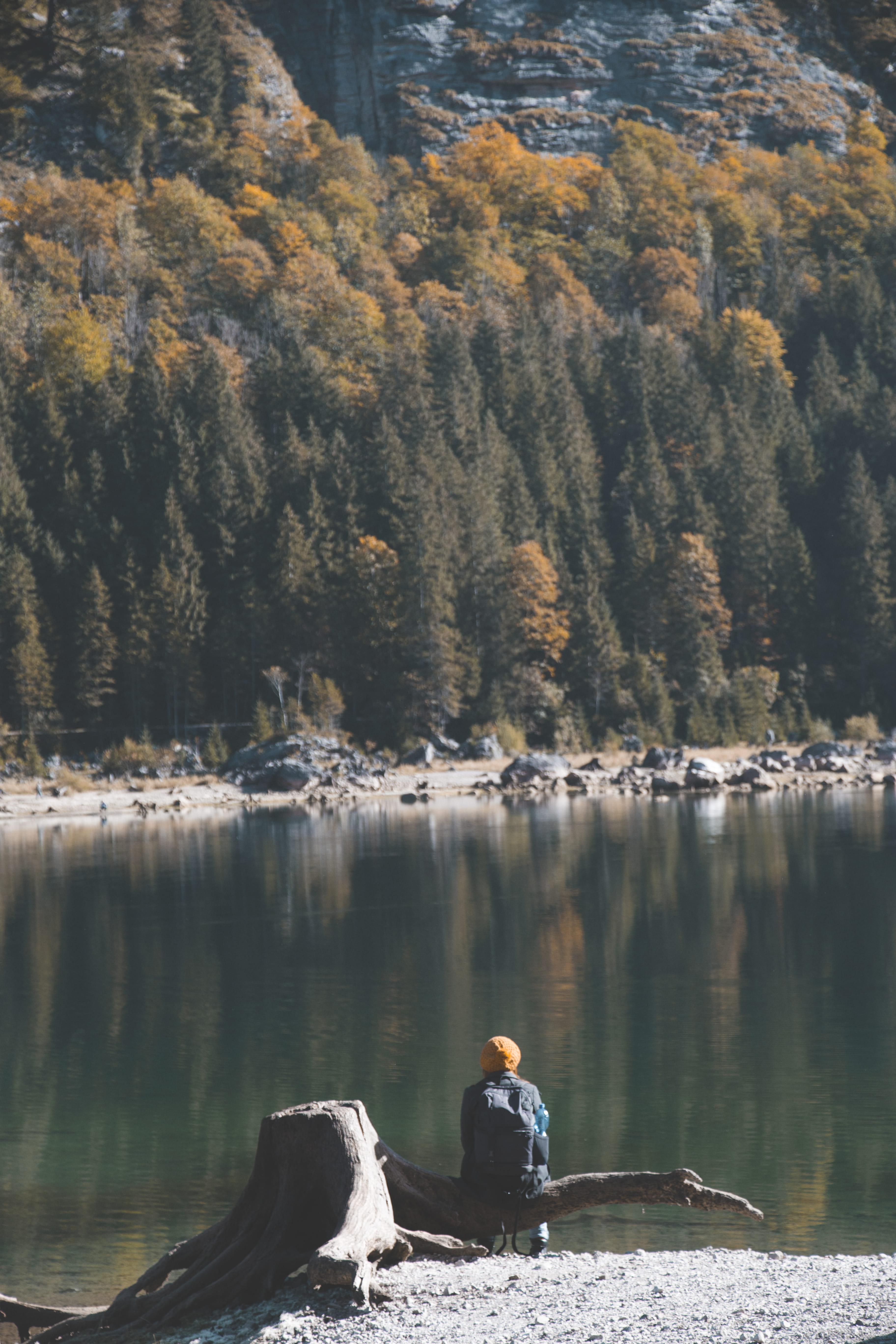 non-urban scene, day, near, tree, lake, 5K, boat, transportation, outdoors, human, tranquil scene, fir, abies, tranquility, man, vehicle, root, rowboat, Phone HD Wallpaper