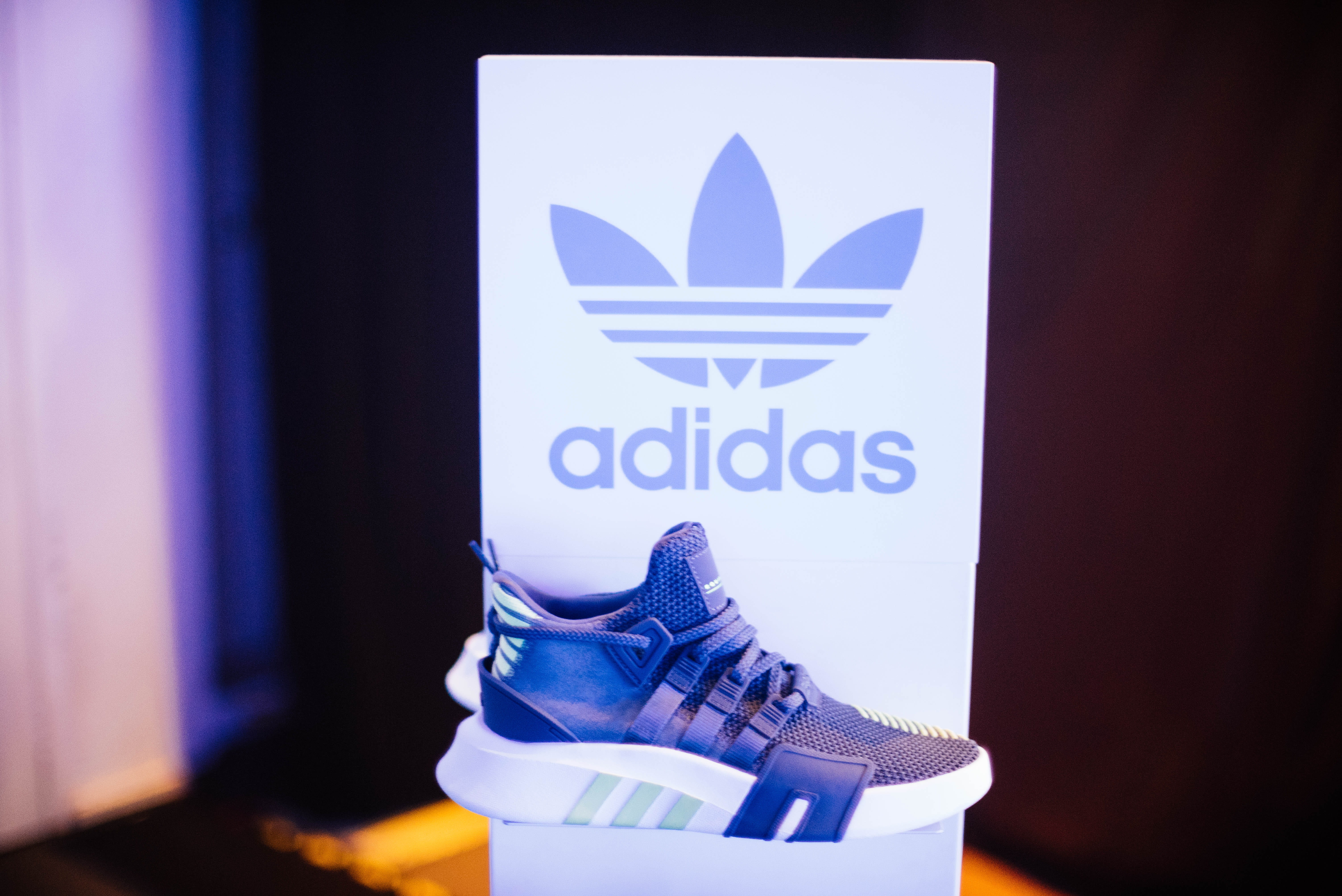 blue, day, white color, adidas, indoors, white, selective focus, text, trainer, nature, sneaker, sign, striped, still life, 5K, shoe, communication, running, HD Wallpaper