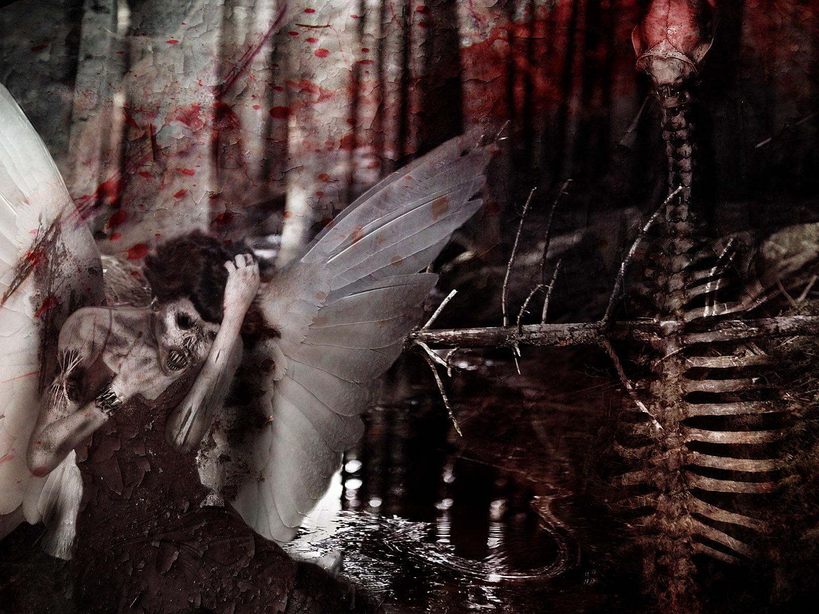 Dark, Manipulation, 720P, Angel, Photography, HD Wallpaper