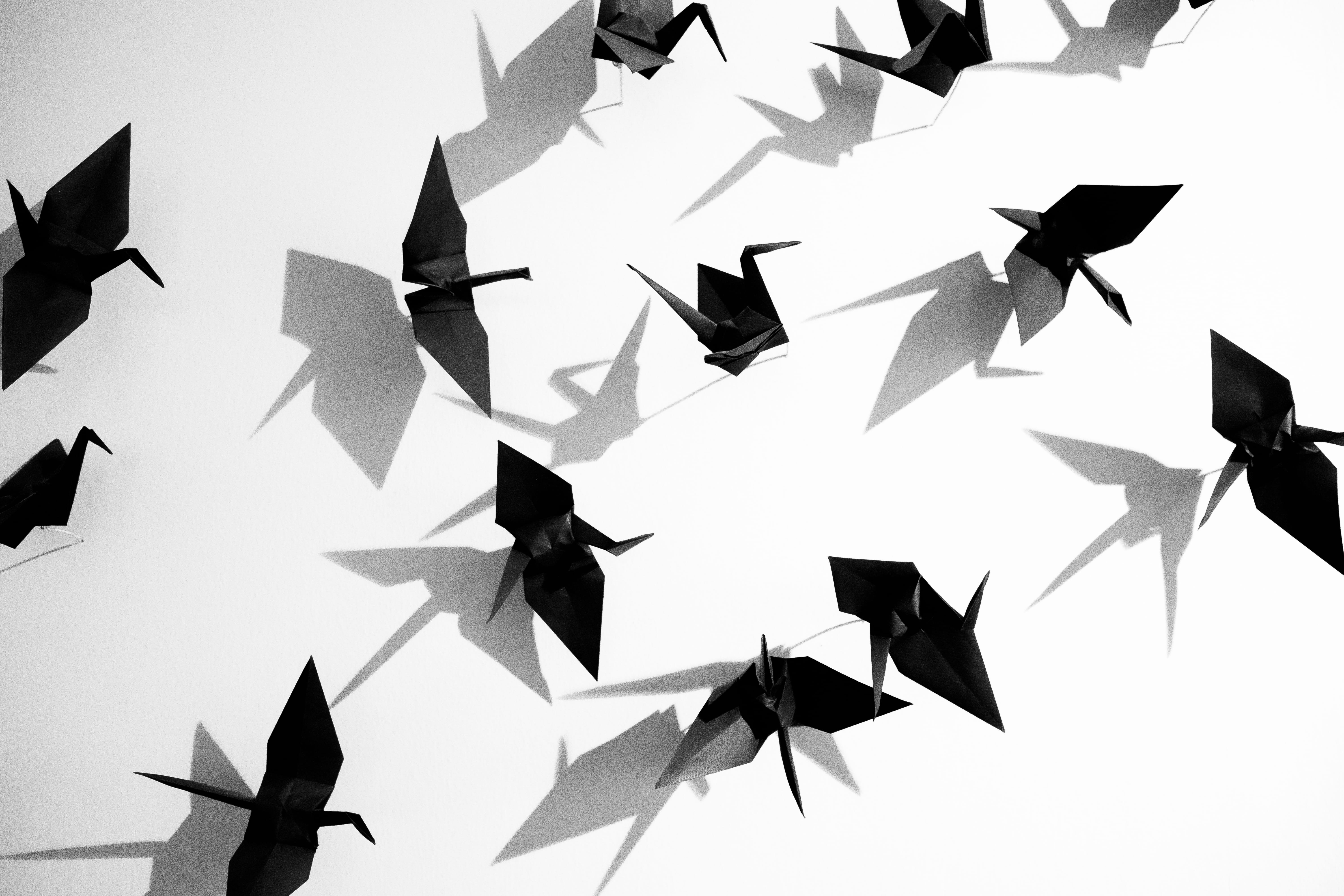 art and craft, black and white, origami, no people, celebration, minimal, background, day, design, spain, birds, paper, achievement, flying, outdoors, decoration, HD Wallpaper