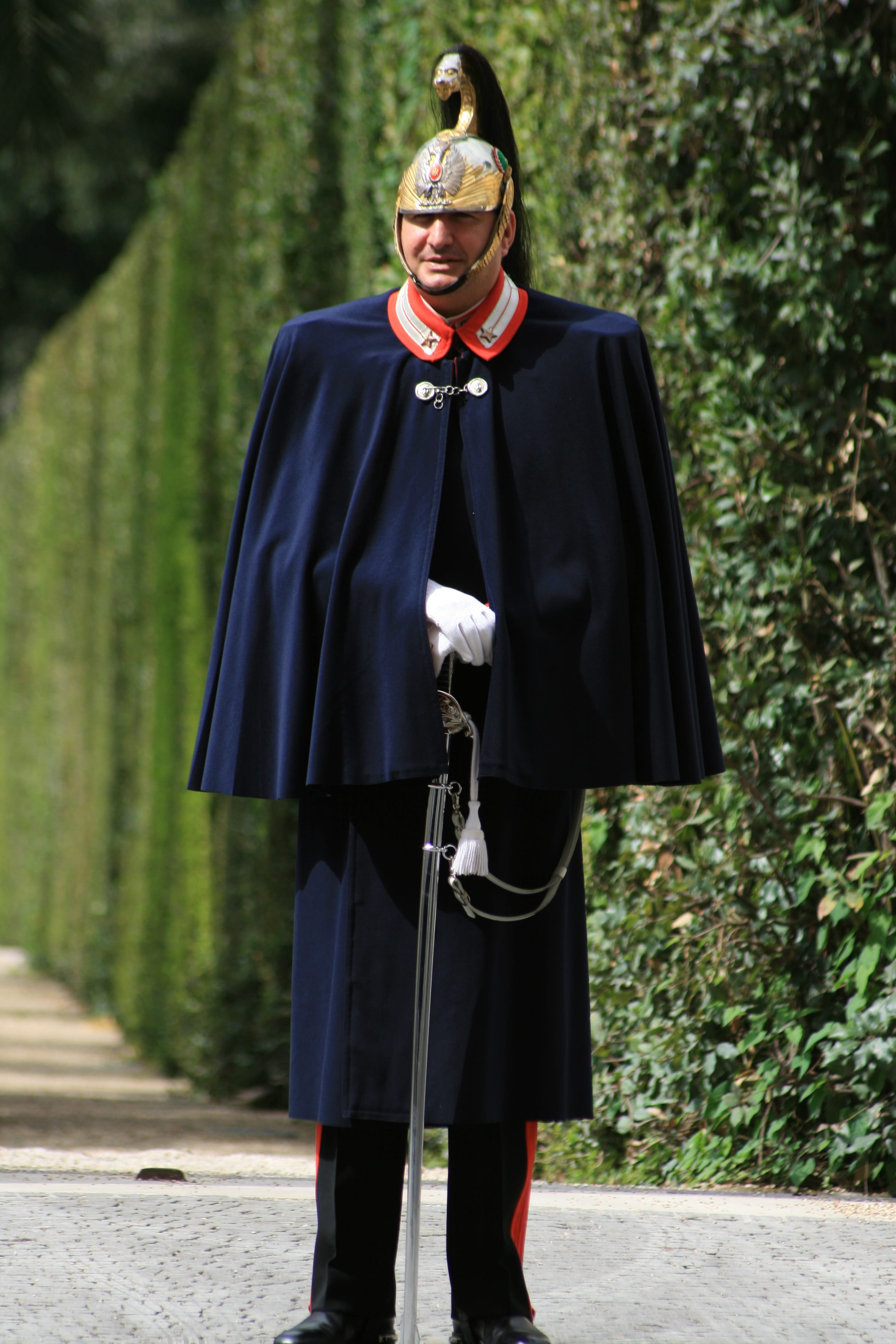 achievement, standing, full length, mortarboard, people, vatican, day, success, swiss guard, real people, graduation gown, focus on foreground, 4K, guard, Phone HD Wallpaper