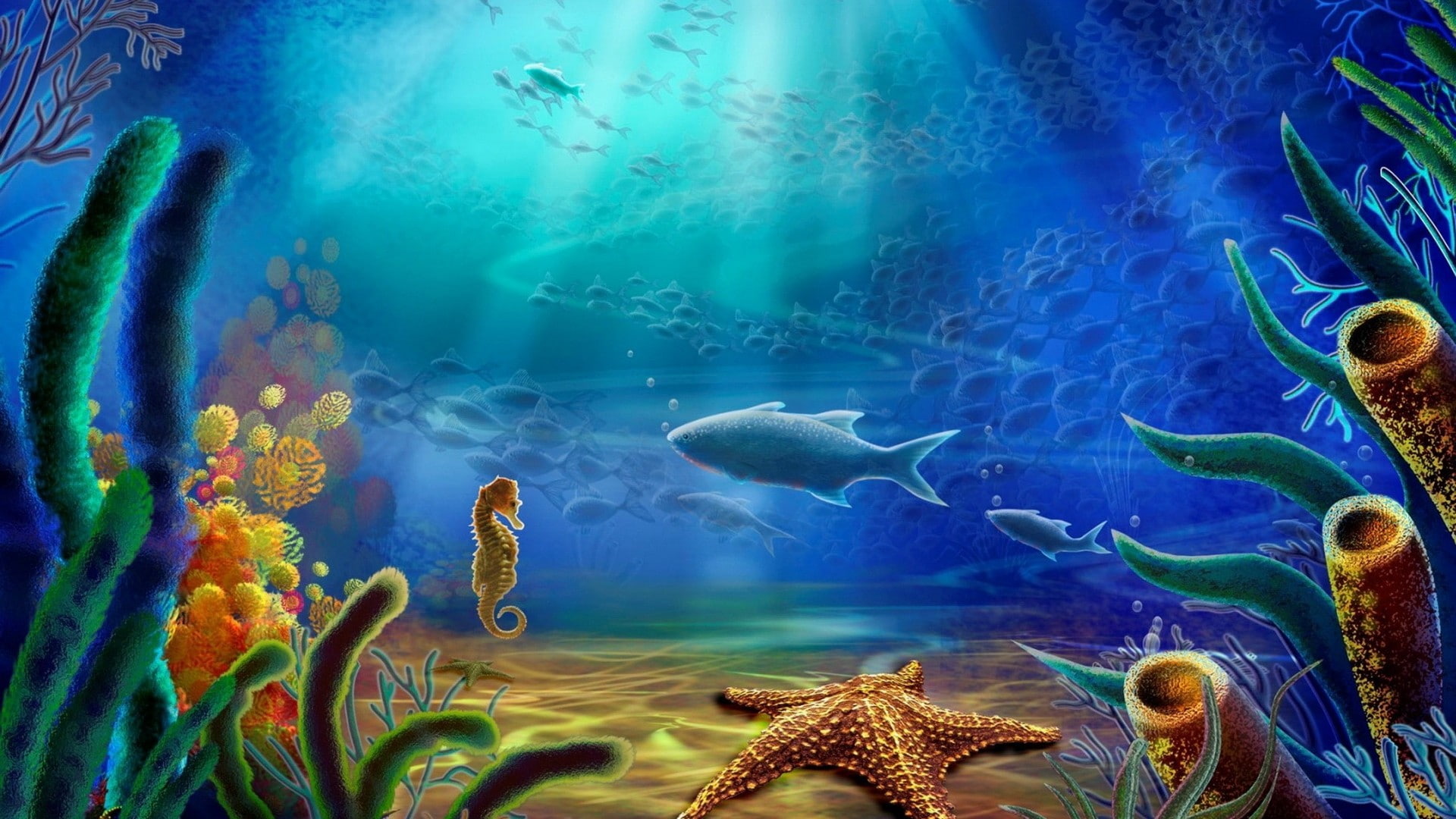 water, ocean, vertebrate, fish, animals in captivity, aquarium, animal wildlife, tank, 1080P, undersea, swimming, underwater, art, school of fish, animal themes, HD Wallpaper