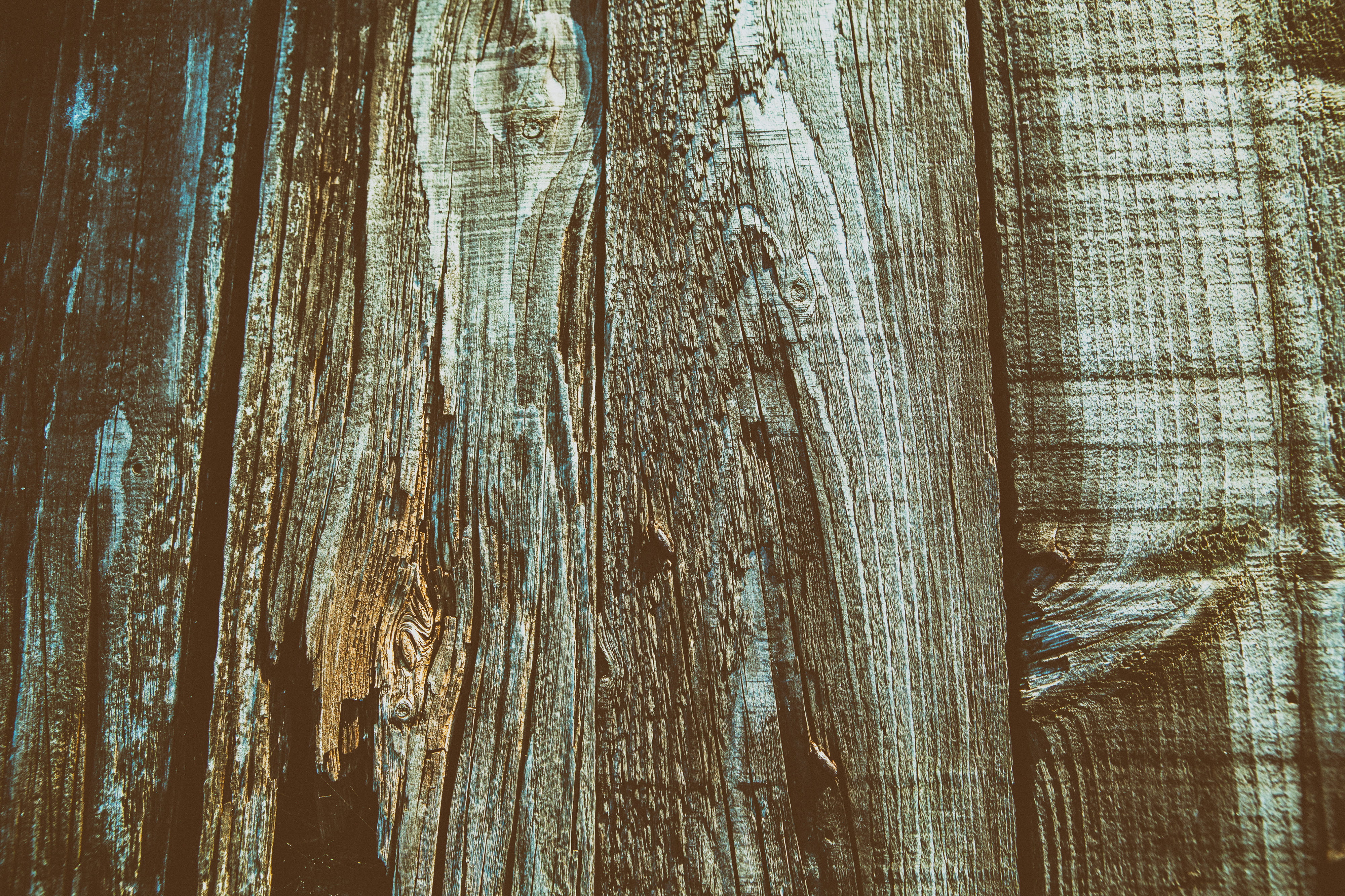 full frame, image, no people, wood - Material, trunk, natural pattern, day, captured, outdoors, wood grain, DSLR, brown, timber, tree trunk, textures, details, HD Wallpaper