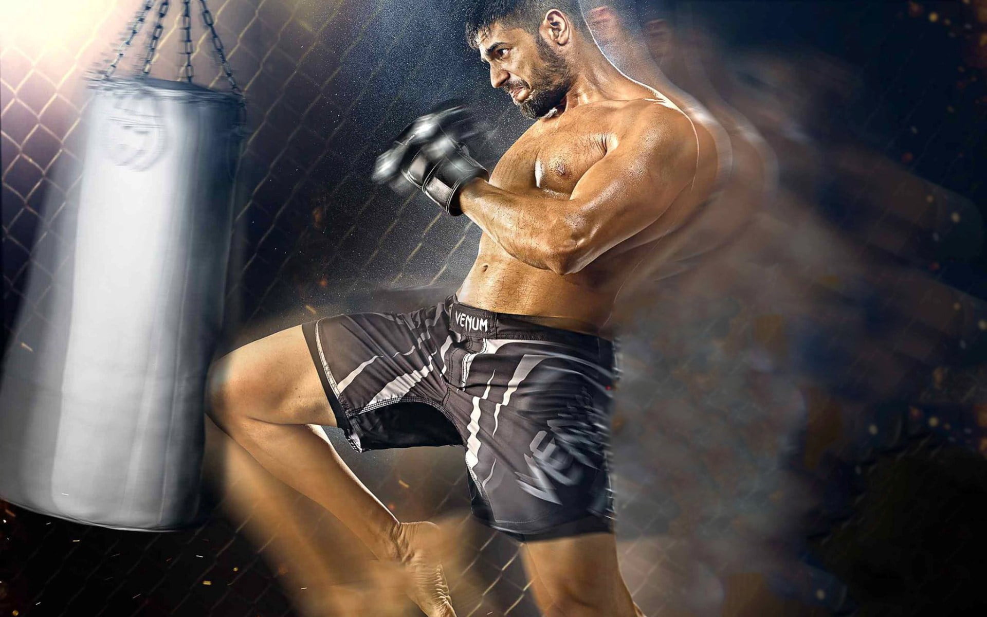 activity, bollywood, monty, effort, s, 2015, athlete, sidharth malhotra, muscular build, hitting, exercising, human muscle, gym, sports training, sport, HD Wallpaper