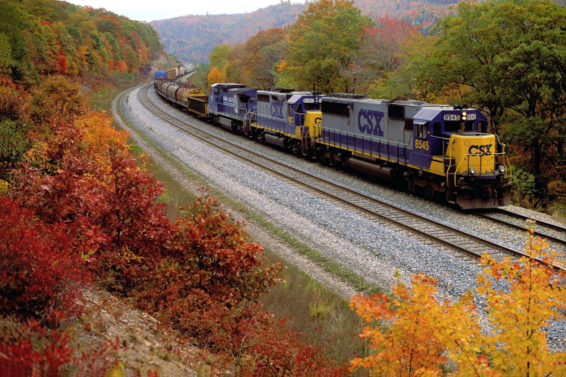 cargo Container, leaves, change, mode of Transport, speed, industry, yellow, general Electric, nature, journey, tree, track, train - vehicle, passenger, HD Wallpaper