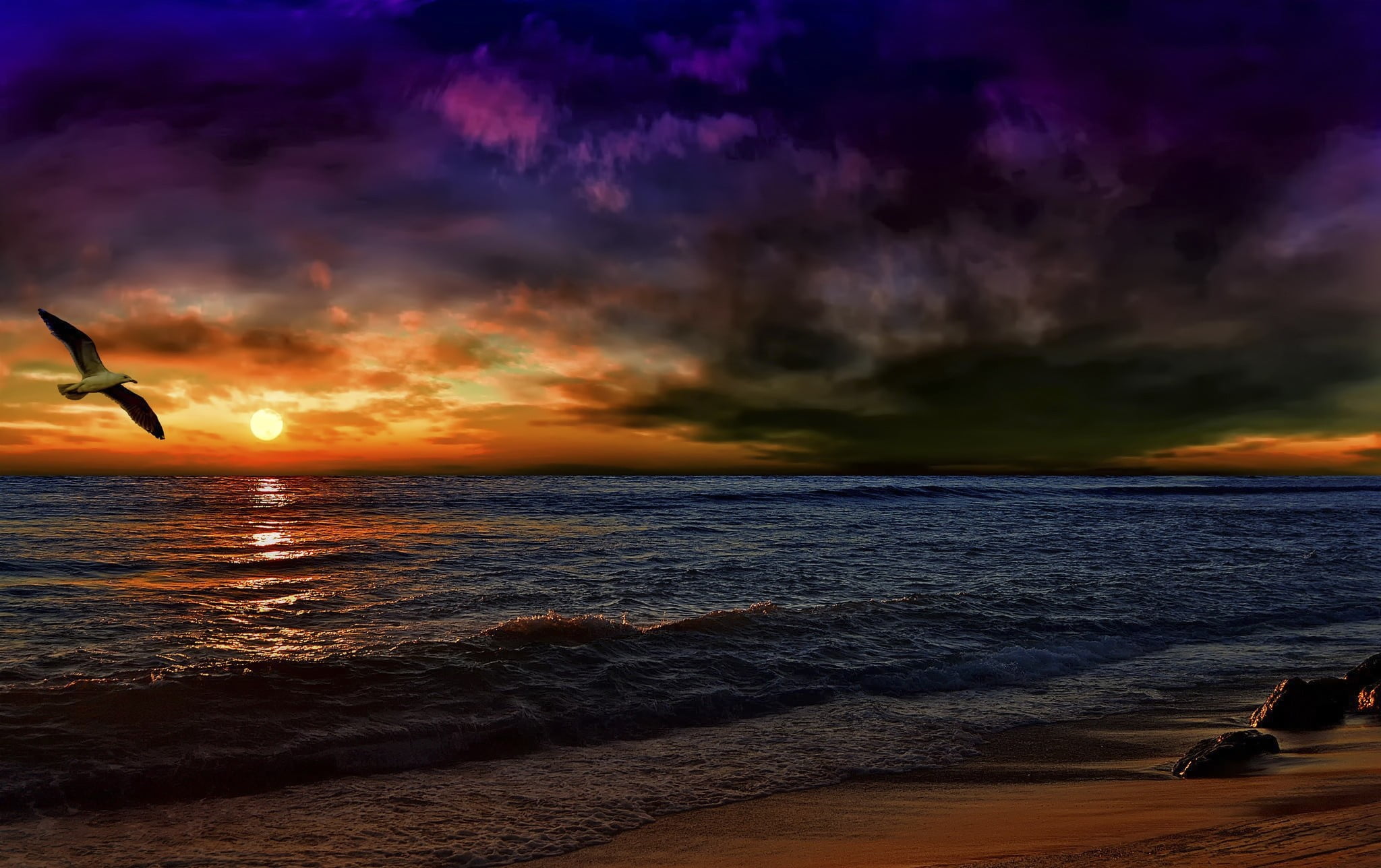 tranquil Scene, photoshop, vacations, seagull, orange color, sunlight, horizon Over Water, sun, water, gull, pacific Ocean, white, dark, landscape, sea, HD Wallpaper
