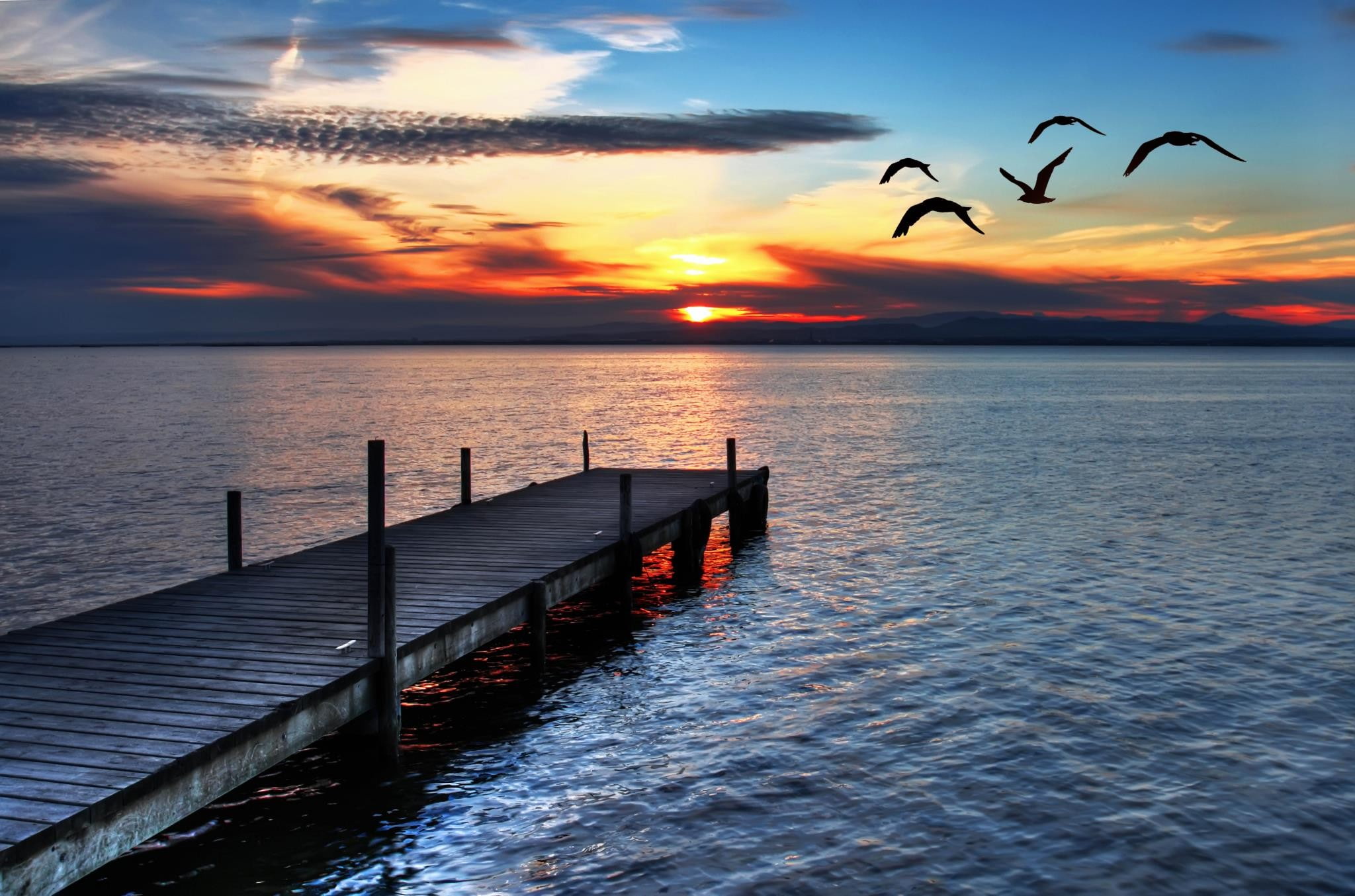 sunset, clouds, 1080P, seagulls, HD Wallpaper