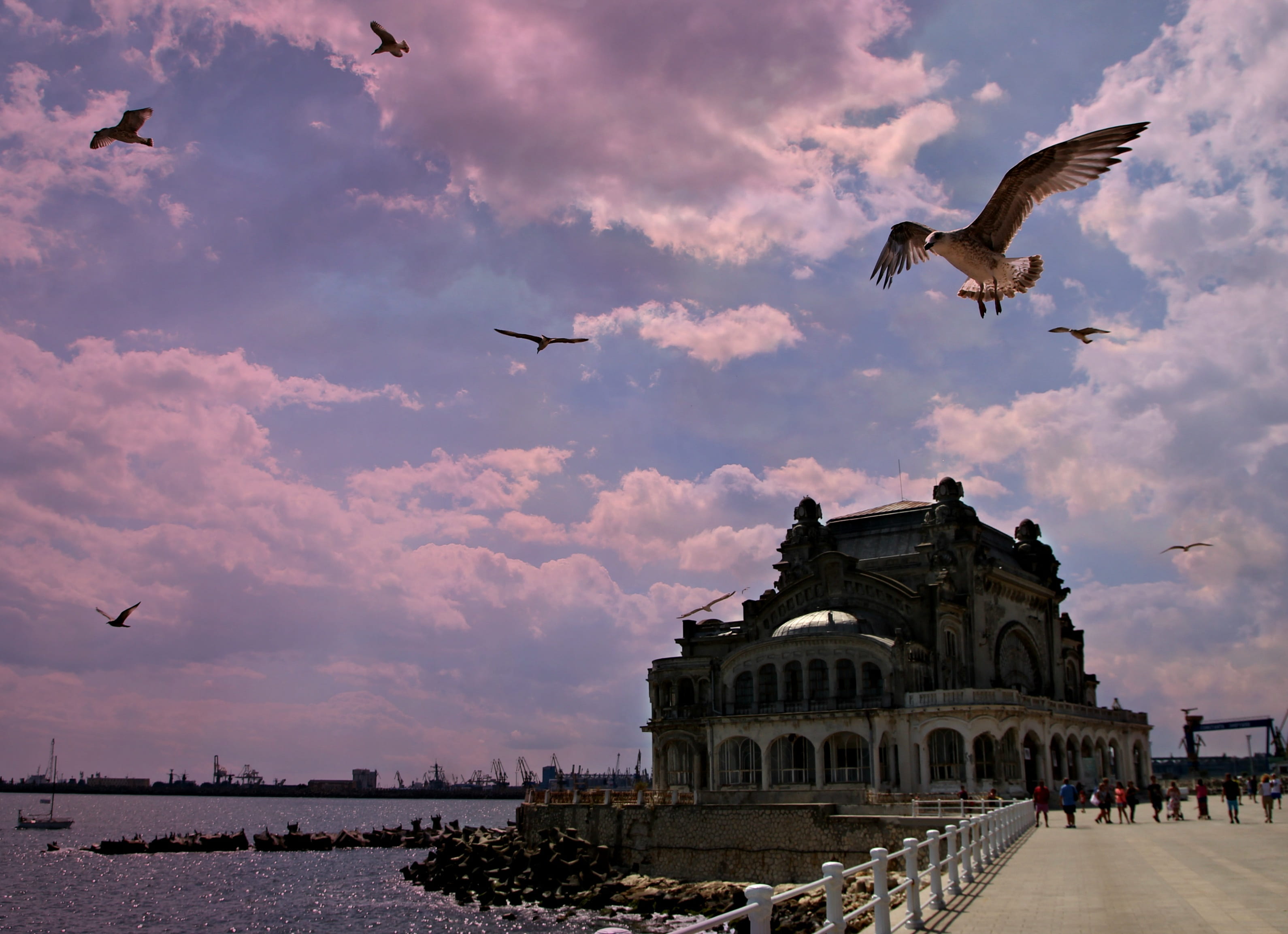 black sea, the past, spread wings, 2K, sunset, white, cloud - sky, nature, daytime, birds, animal themes, travel destinations, group of animals, near, HD Wallpaper