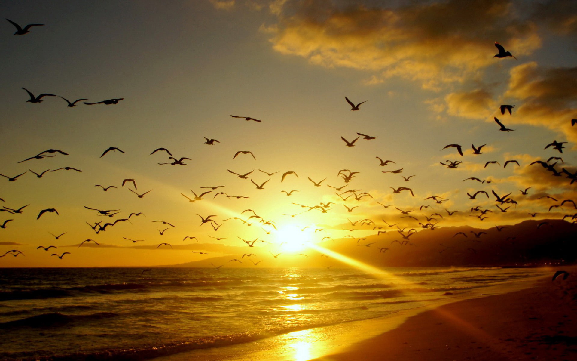 sunlight, 1080P, sea, clouds, birds, seagulls, HD Wallpaper