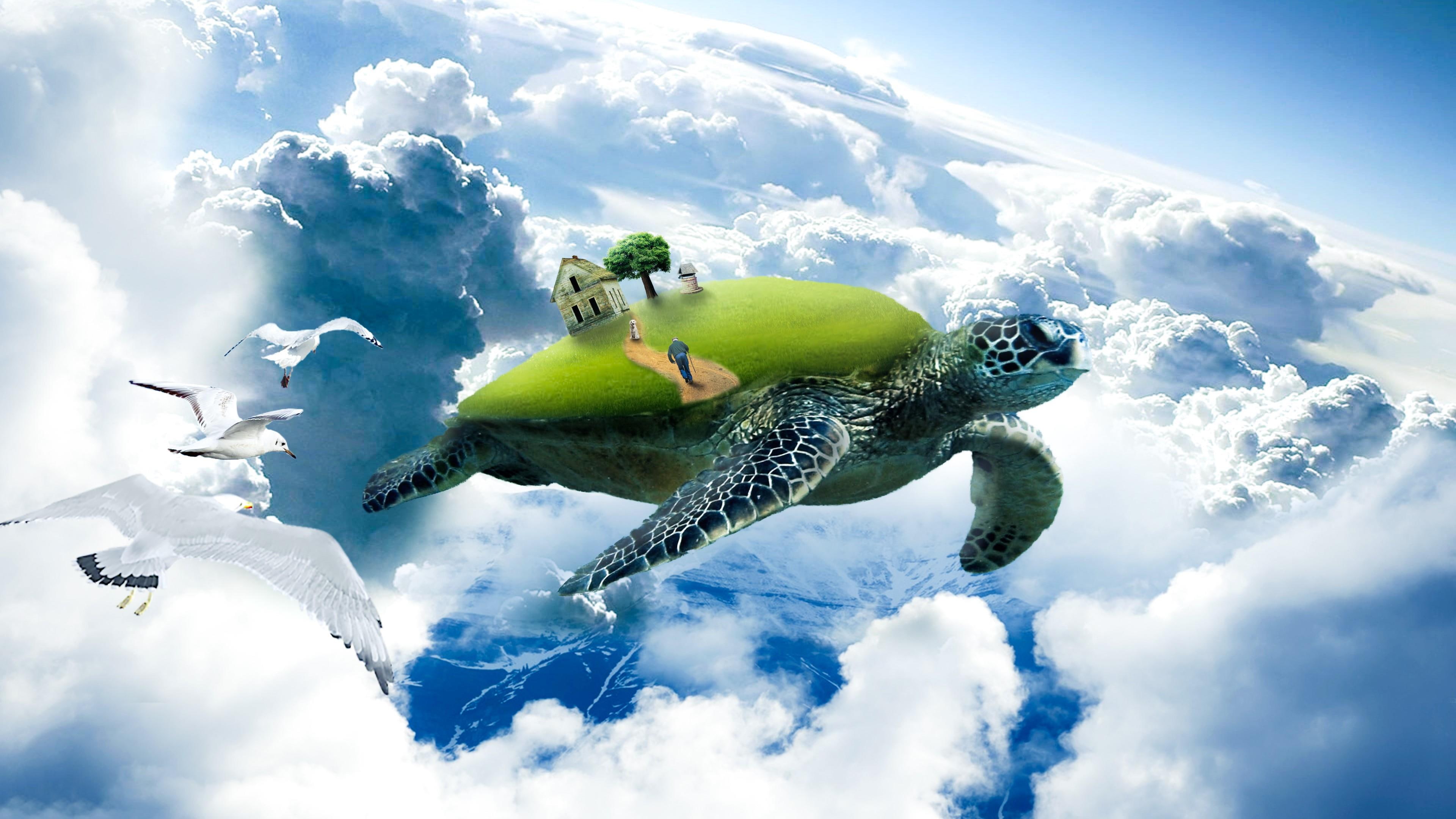 fantasy, turtle in the sky, clouds, house, seagull, grass, 4K, old man, dog, tree, sky, beauty, turtle, HD Wallpaper