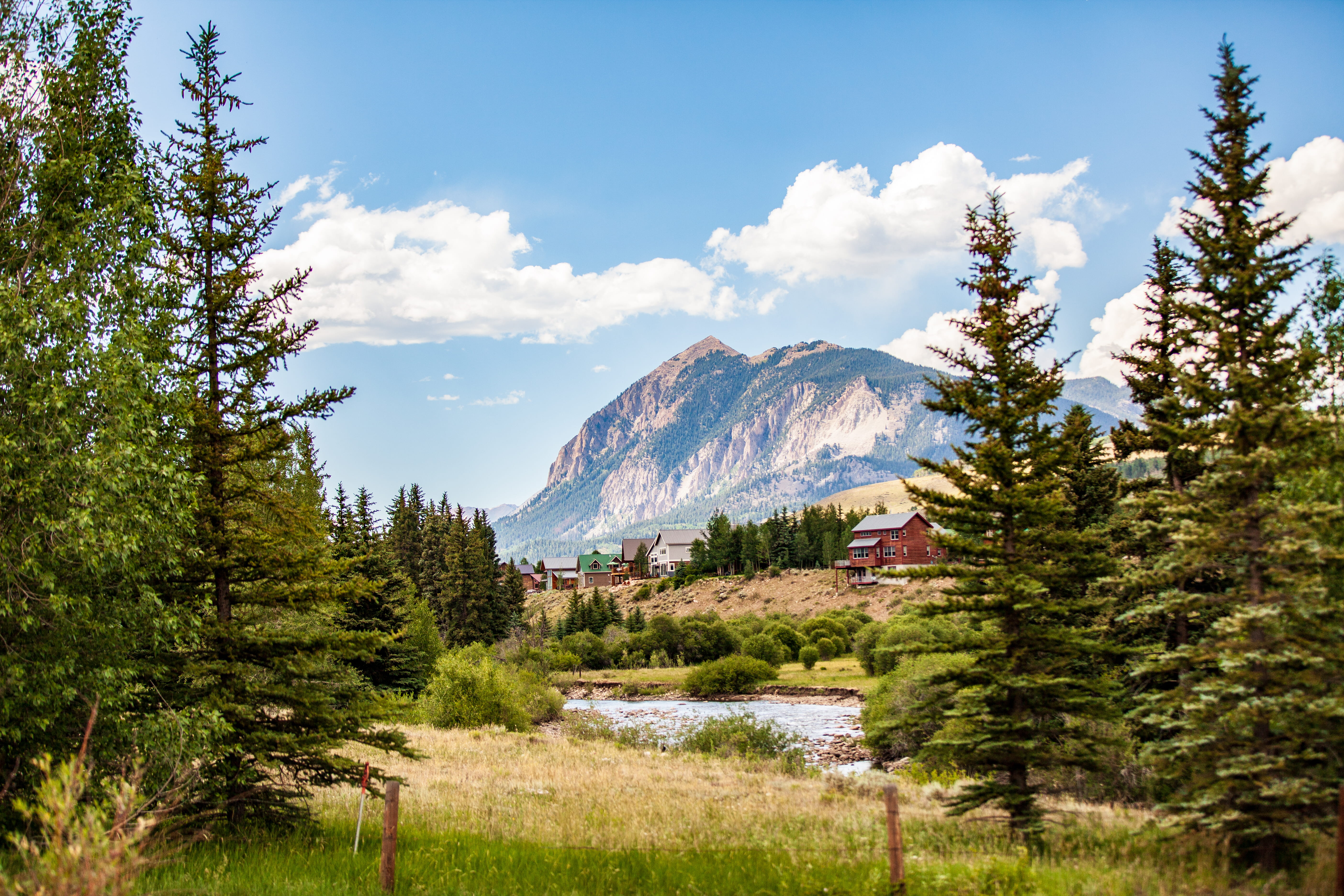 land, crested butte, growth, grass, pine tree, painting, 5K, non-urban scene, coniferous tree, trees, tranquility, mountain, nature, landscape, beauty in nature, HD Wallpaper