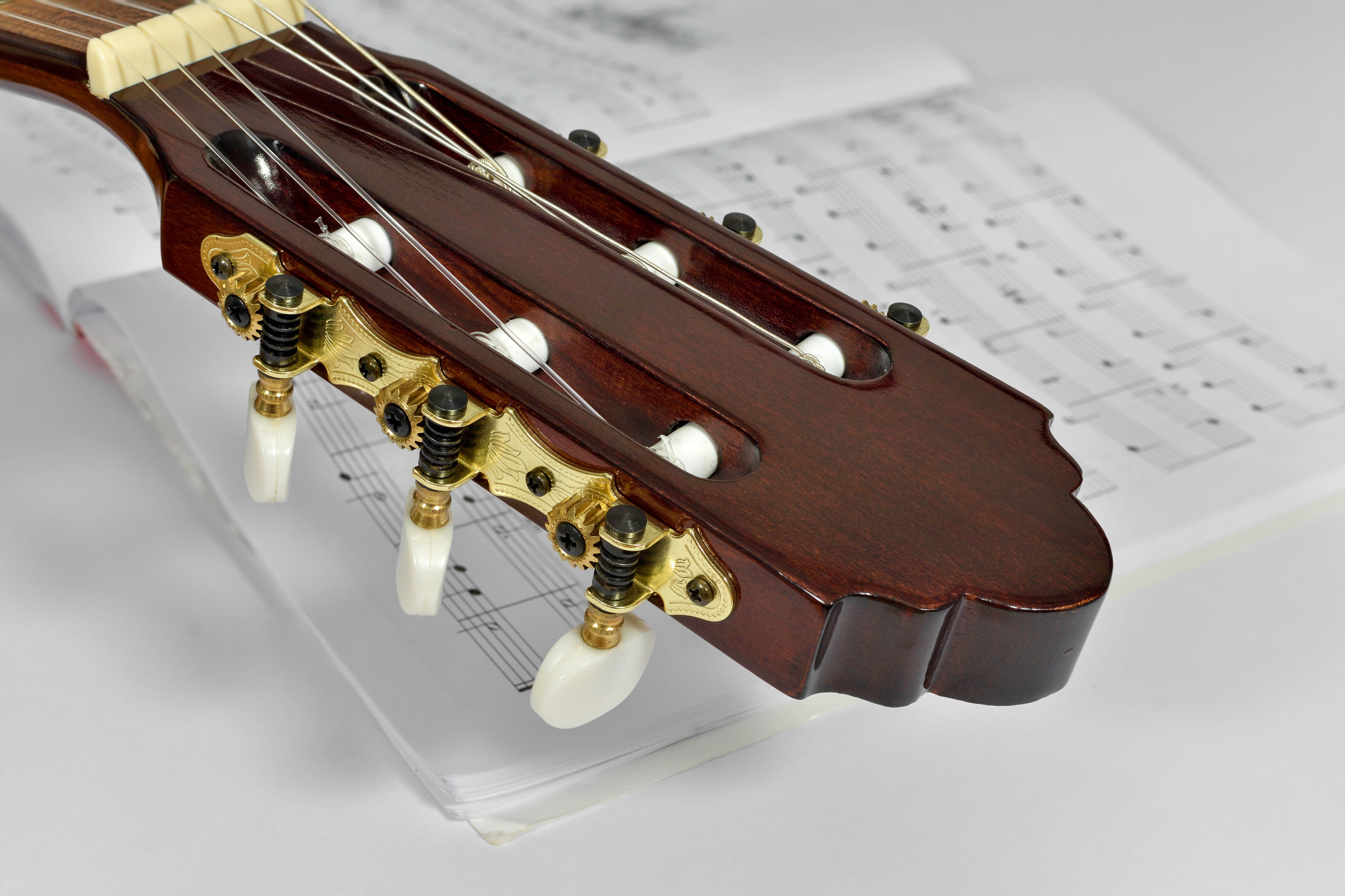 focus stäcking, chordophone, single object, perlmut, plucked string instrument, brown, strings, guitar neck, gold, sheet, string, string instrument, play guitar, HD Wallpaper