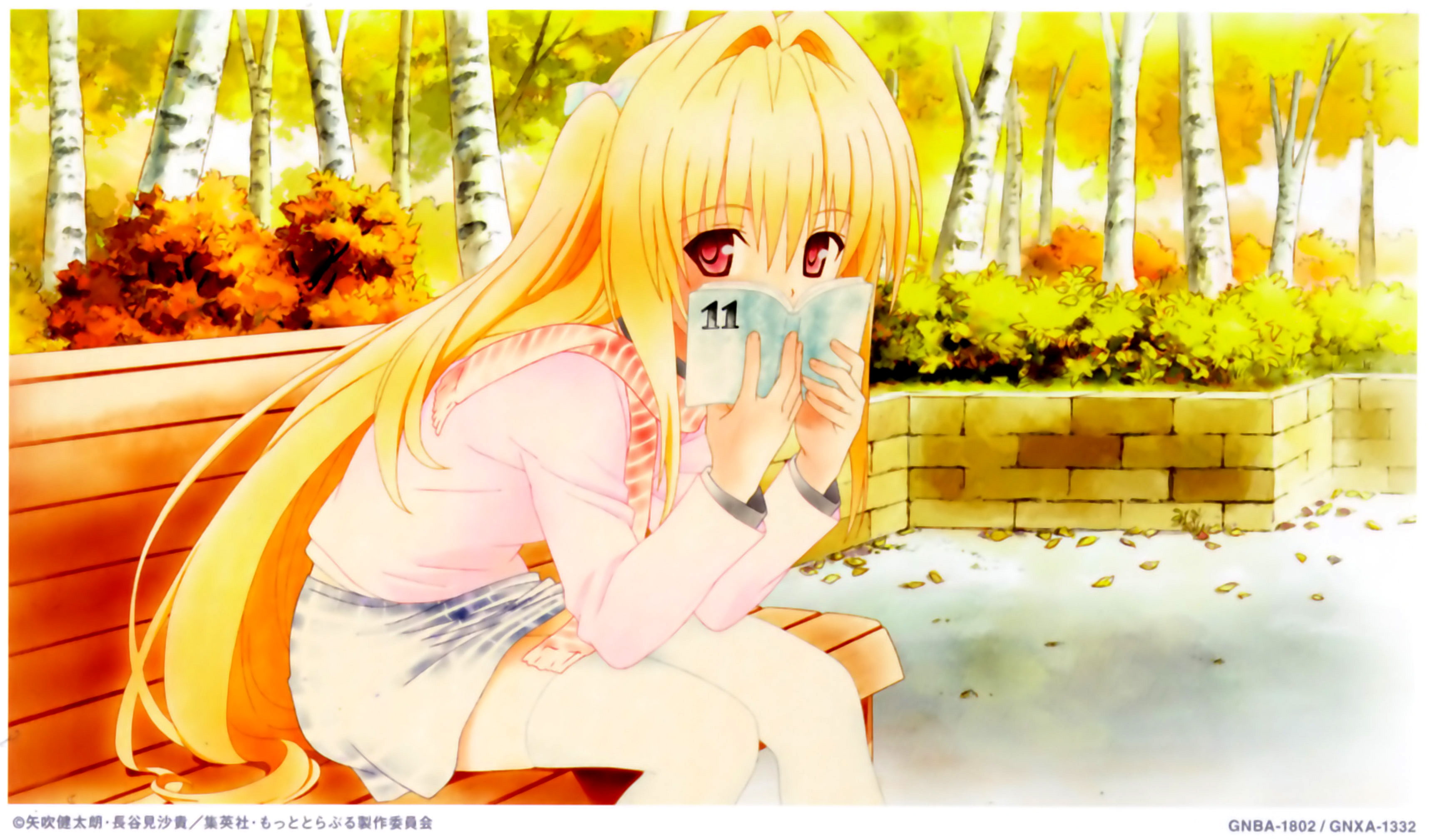 anime, art, haruna, deviluke, sairenji, golden, love, satalin, rito, lala, ru, darkness, yuuki, hd, To Love Ru, Golden Darkness, hot, x, 2K, HD Wallpaper
