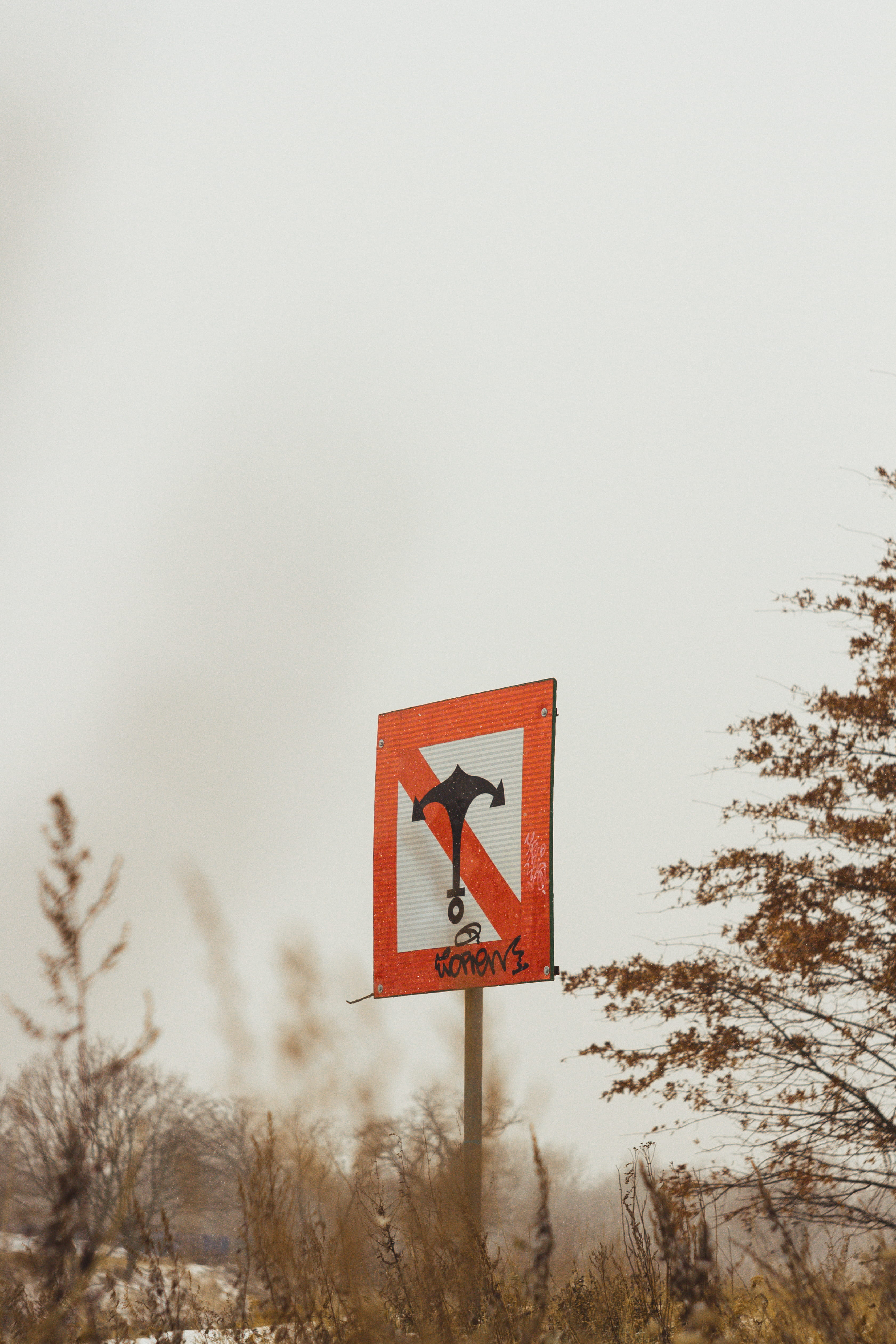 guidance, winter, reed, vulture, plant, nature, lawn, stopsign, finch, safety, flag, number, no people, bird, copy space, communication, road sign, rules, Phone HD Wallpaper