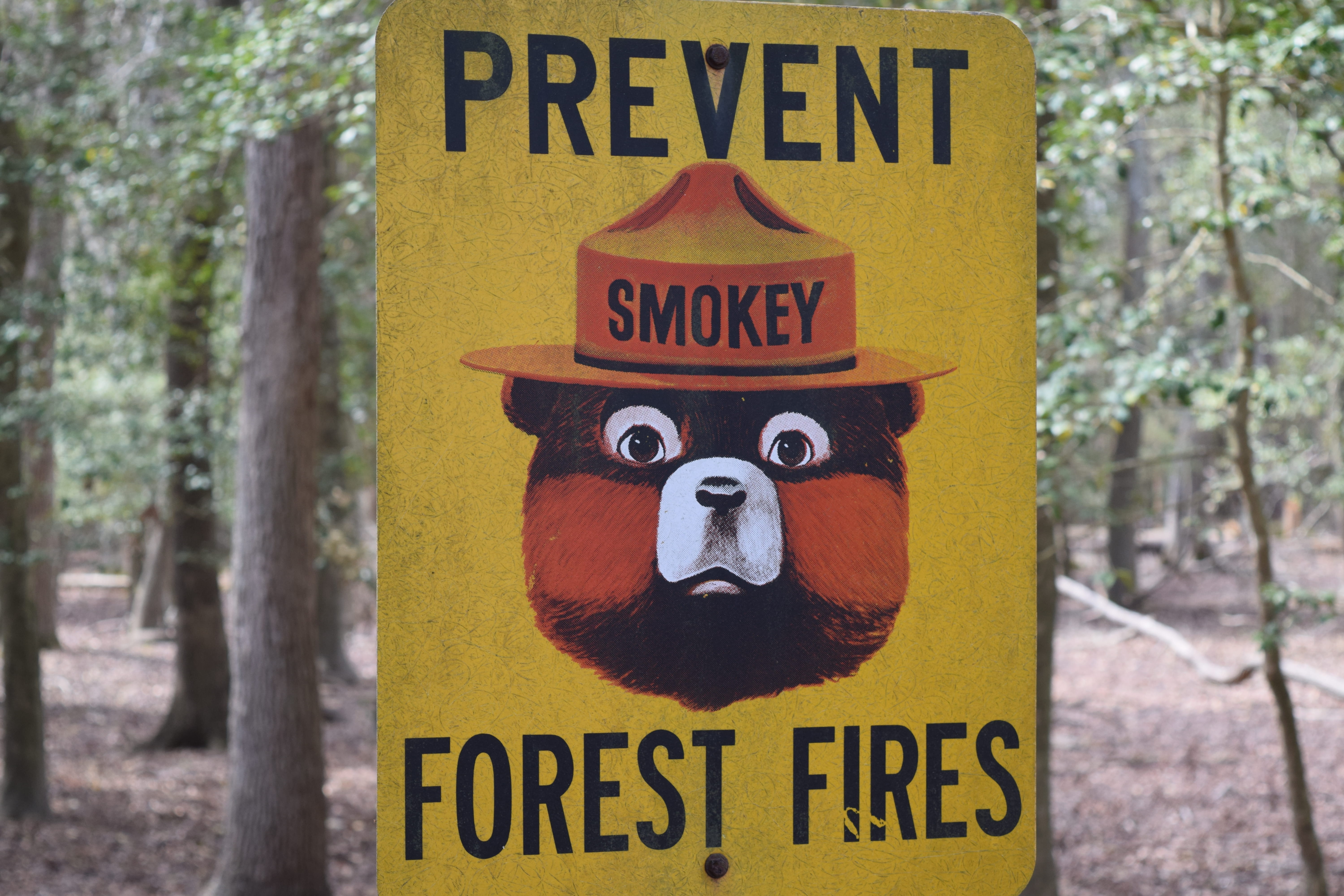 human representation, safety, woods, close-up, warning sign, text, mammal, information, signs, western script, smokey, information sign, yellow, fires, HD Wallpaper