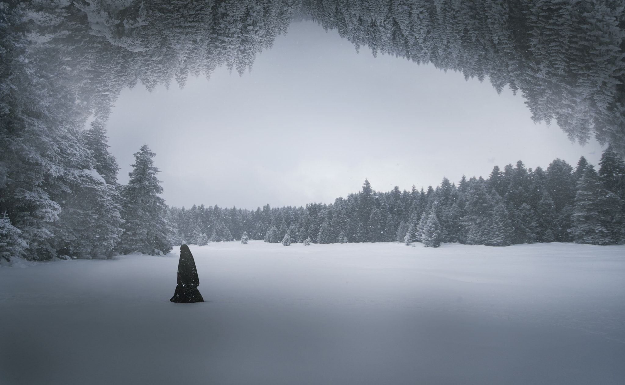 trees, loneliness, winter, Ozkan Durakoglu, 500px, nature, outdoors, digital art, 1080P, HD Wallpaper