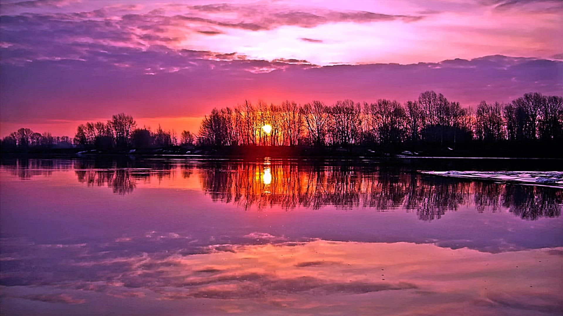 sunset, lovely, 1080P, oak, cool, 3d and abstract, beauty, warm, fascinating, awesome, trees, HD Wallpaper