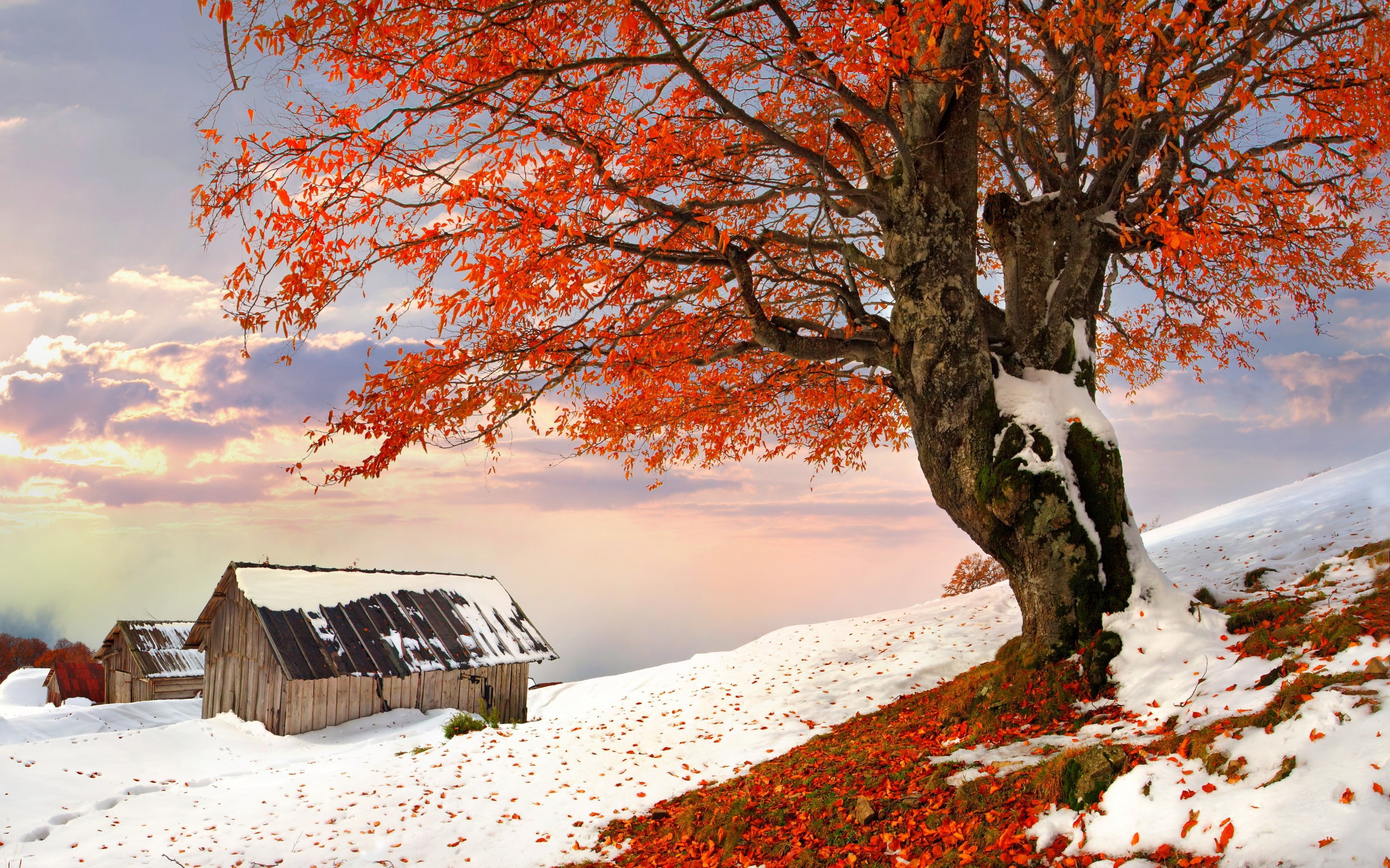 scenery, Nature, house, beautiful, landscape, sky, cool, winter, snow, white, nice, Sunset, 2K, HD Wallpaper