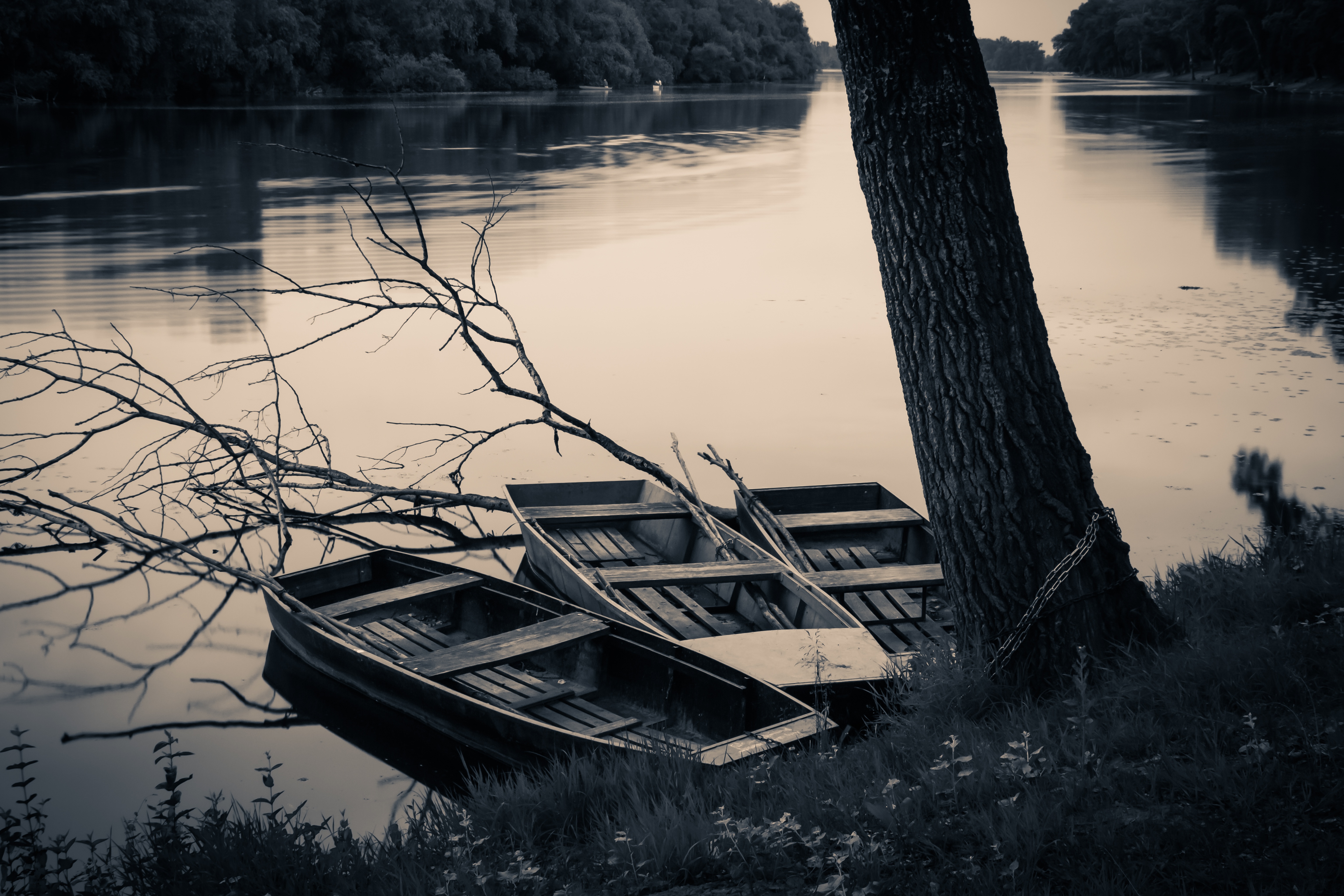 romantic, plant, transportation, beauty in nature, mood, boats, tranquility, outdoors, nature, mode of transportation, beach, waters, lakeshore, several, HD Wallpaper