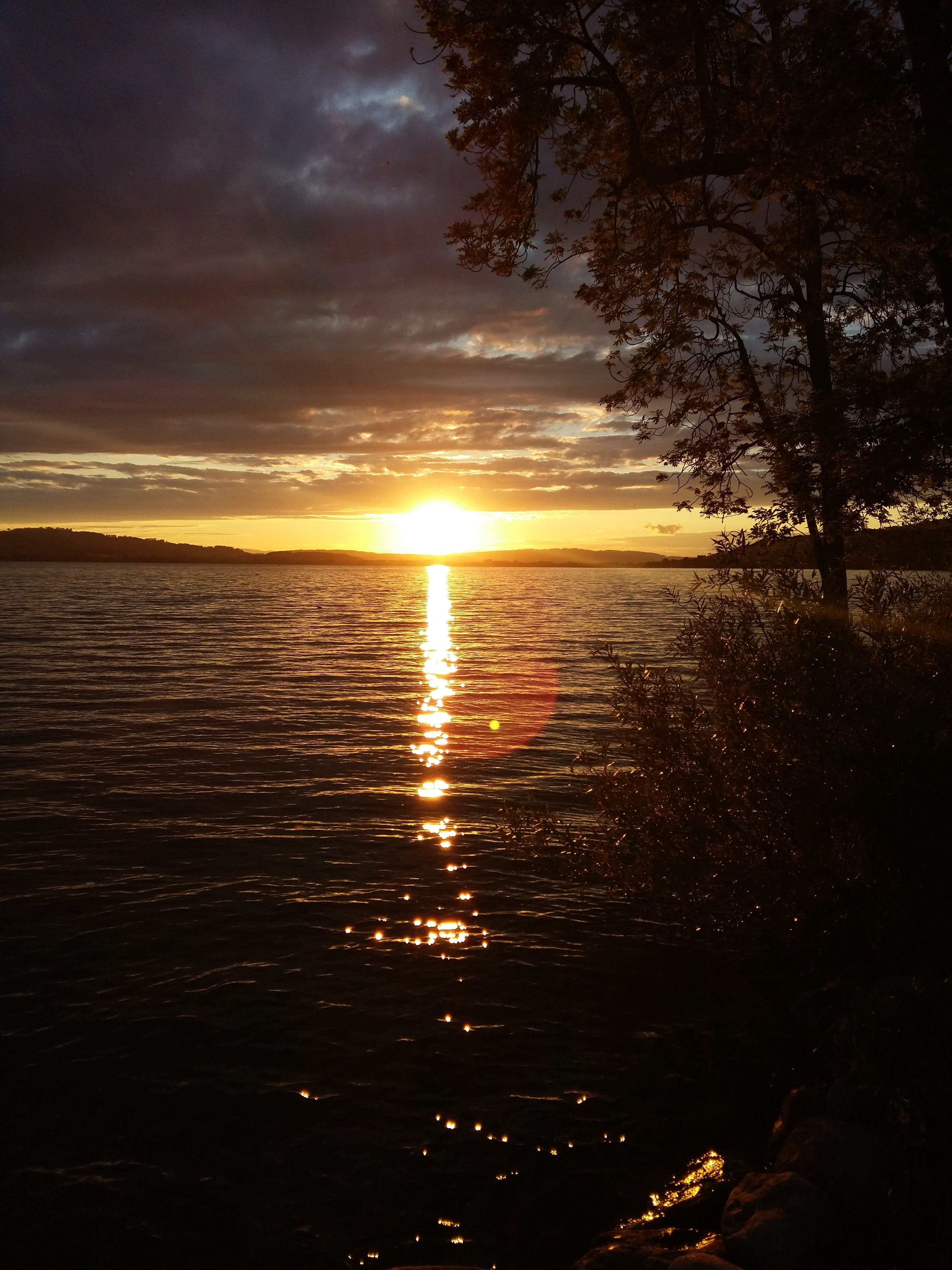 tranquil scene, sun, sky, orange color, tree, sunset, no people, nature, scenics, cloud - sky, 4K, idyllic, sunlight, horizon over water, sea, lens flare, Phone HD Wallpaper