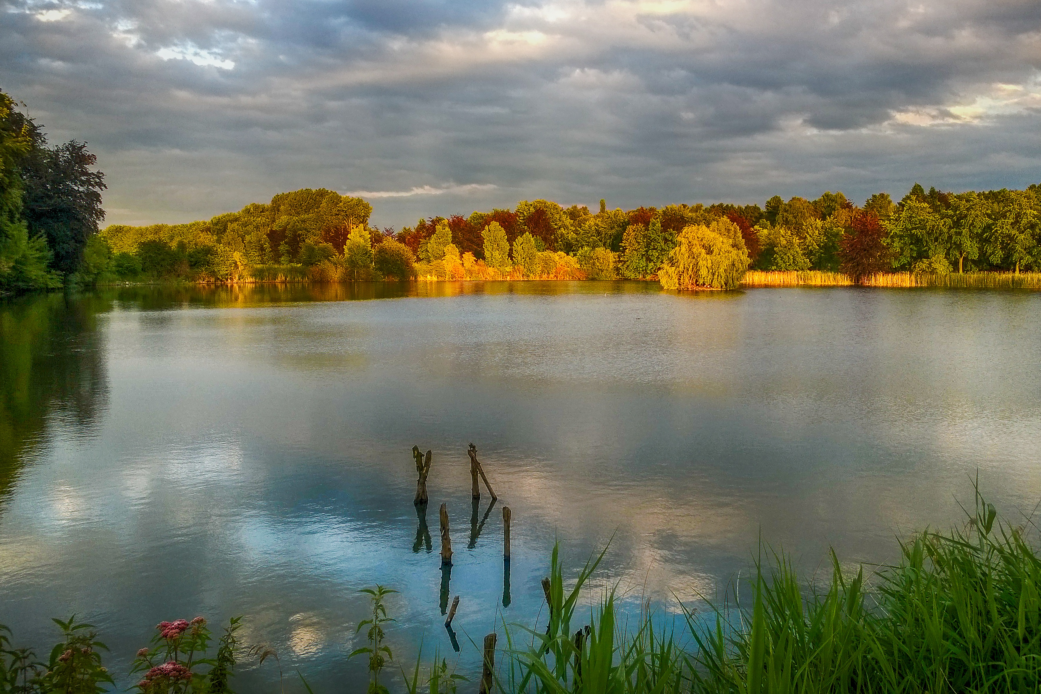 2K, tree, lake, grass, water, cloud - sky, tranquil scene, idyllic, reflection, heverlee, growth, sky, day, tranquility, nature, nightfall, non-urban scene, HD Wallpaper
