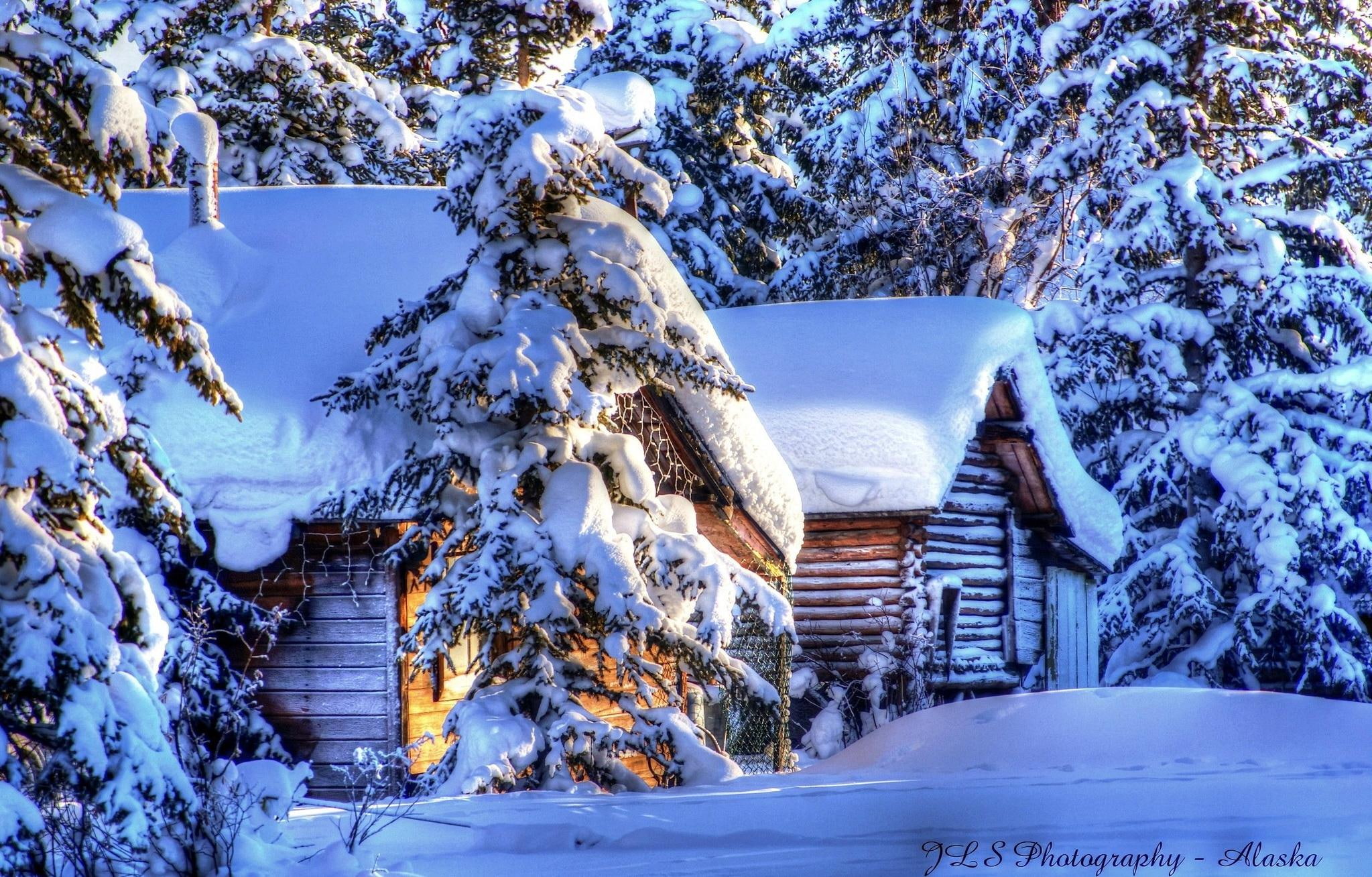 lovely, wooden, snow, winter, calm, trees, cabin, village, peaceful, beautiful, cottage, nice, tree, 1080P, covered, cold, alaska, snowy, house, HD Wallpaper