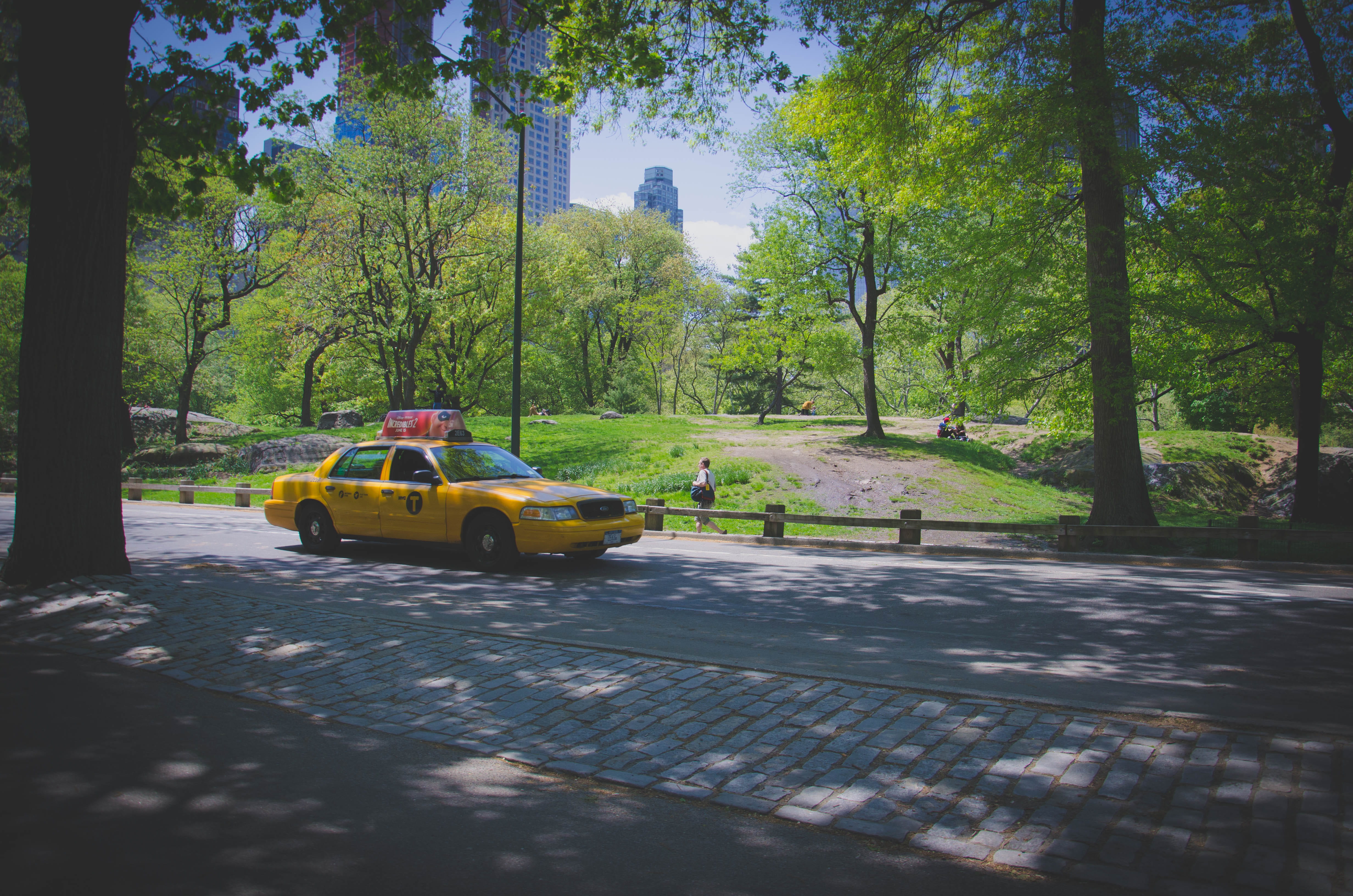 city, mode of transportation, day, plant, green color, nature, concrete, victoria, yellow taxi, sunlight, drive, ford, road, pavement, yellow, growth, taxi, HD Wallpaper