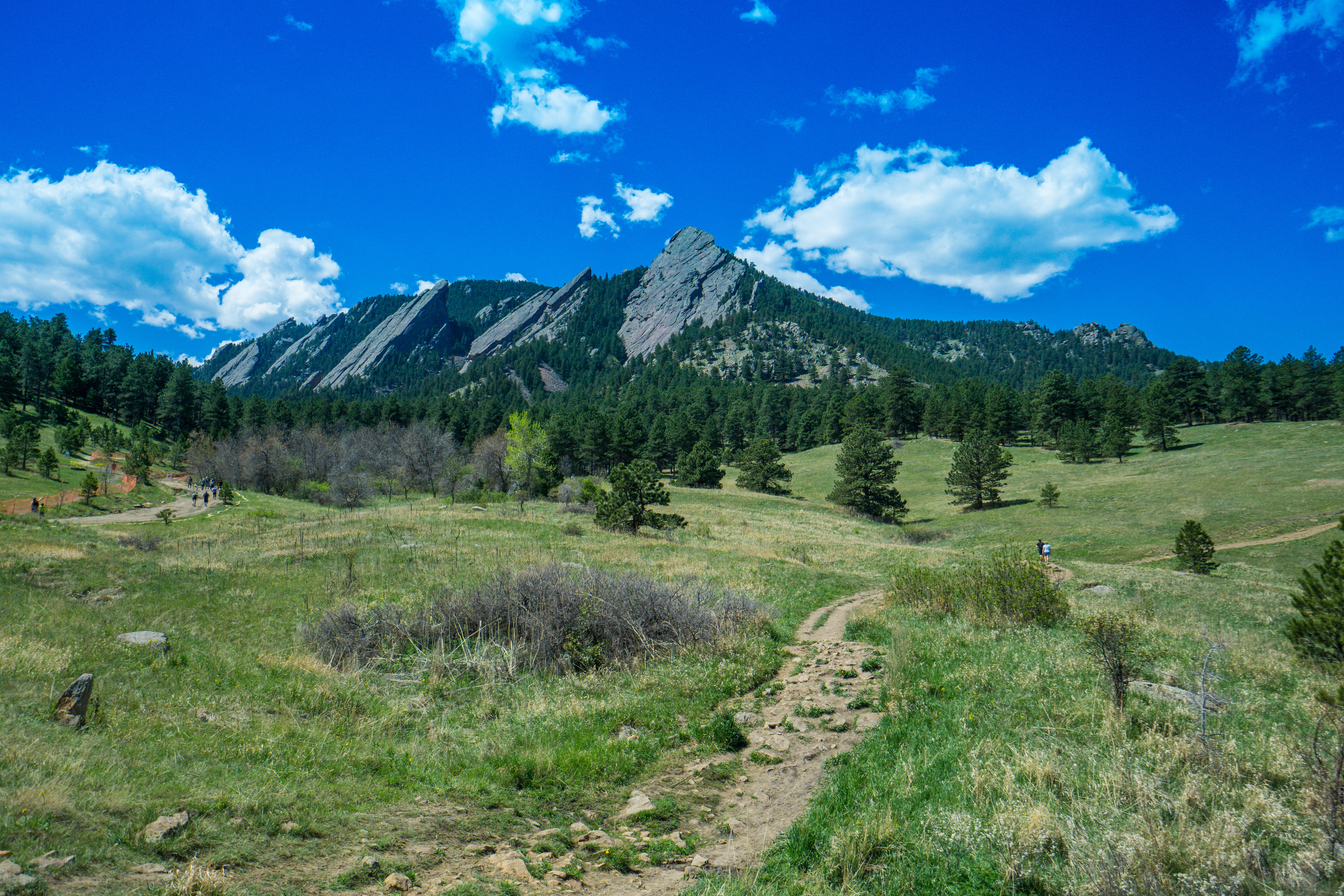 tree, trees, day, a6000, outdoors, field, wanderer, no people, green color, nature, flatirons, boulder, plant, tranquil scene, scenics - nature, hike, mountain, HD Wallpaper