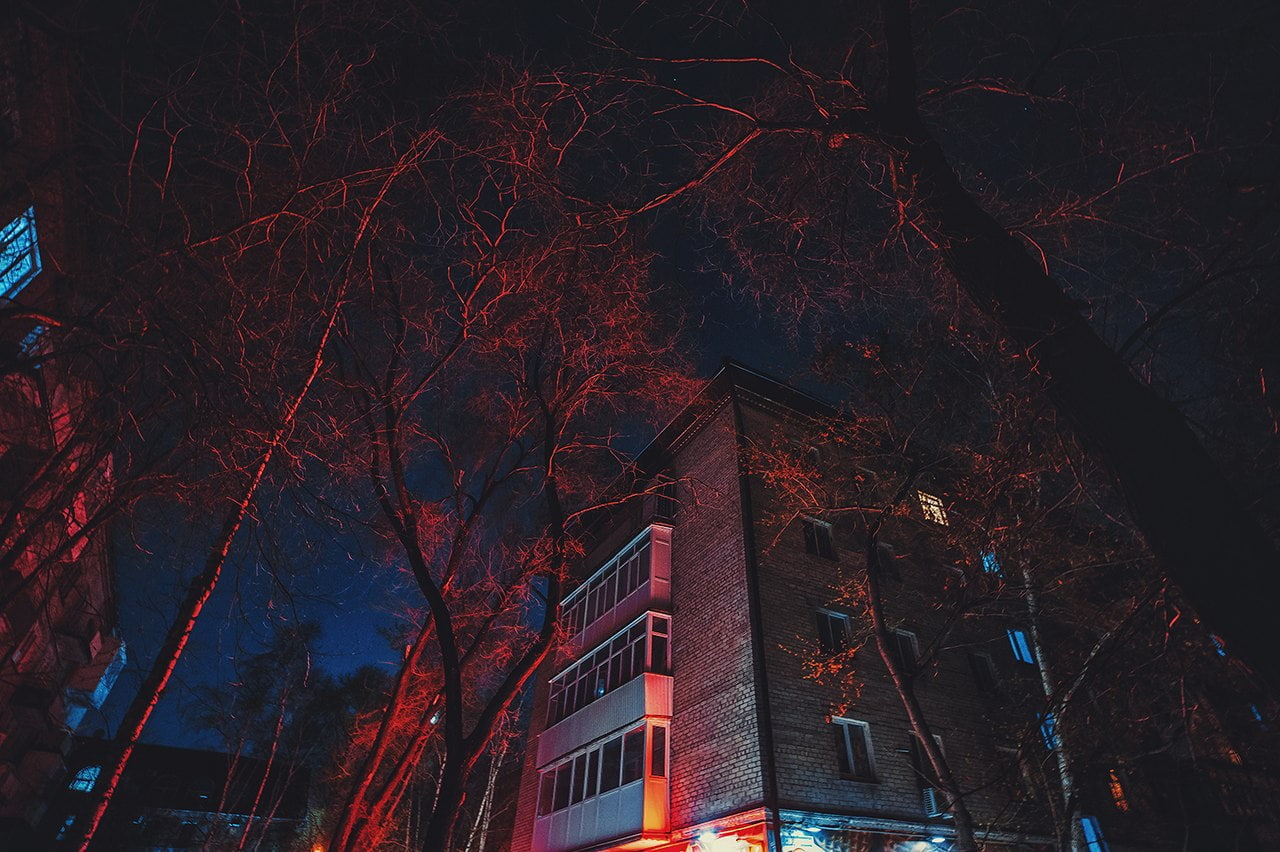 no people, red, residential district, bare tree, autumn, 720P, nature, Russia, built structure, plant, trees, architecture, outdoors, building, branch, HD Wallpaper