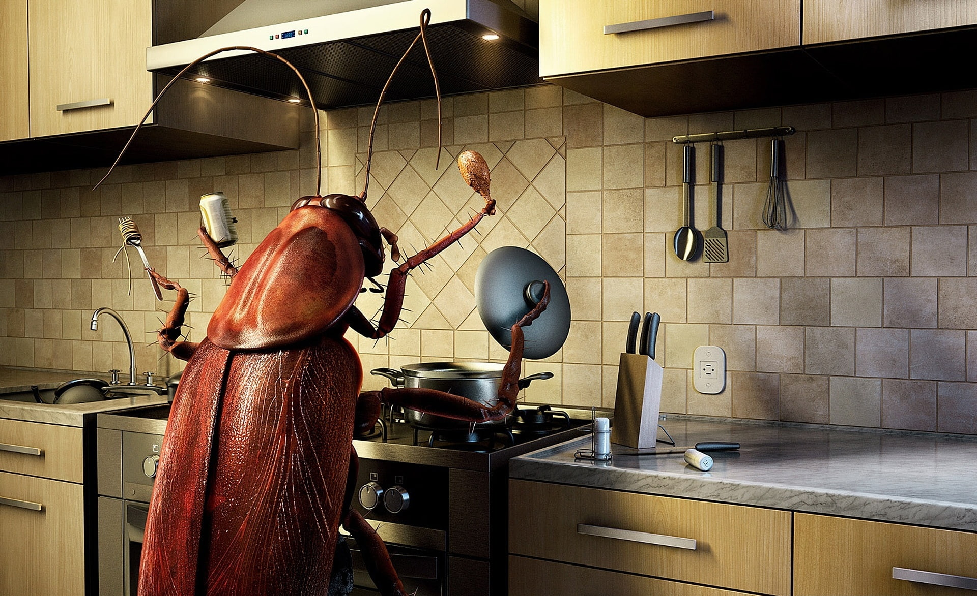 preparing food, 1080P, indoors, oven, appliance, cooking pan, domestic room, freshness, cockroach, home, food and drink, bug, kitchen counter, tile, household equipment, HD Wallpaper