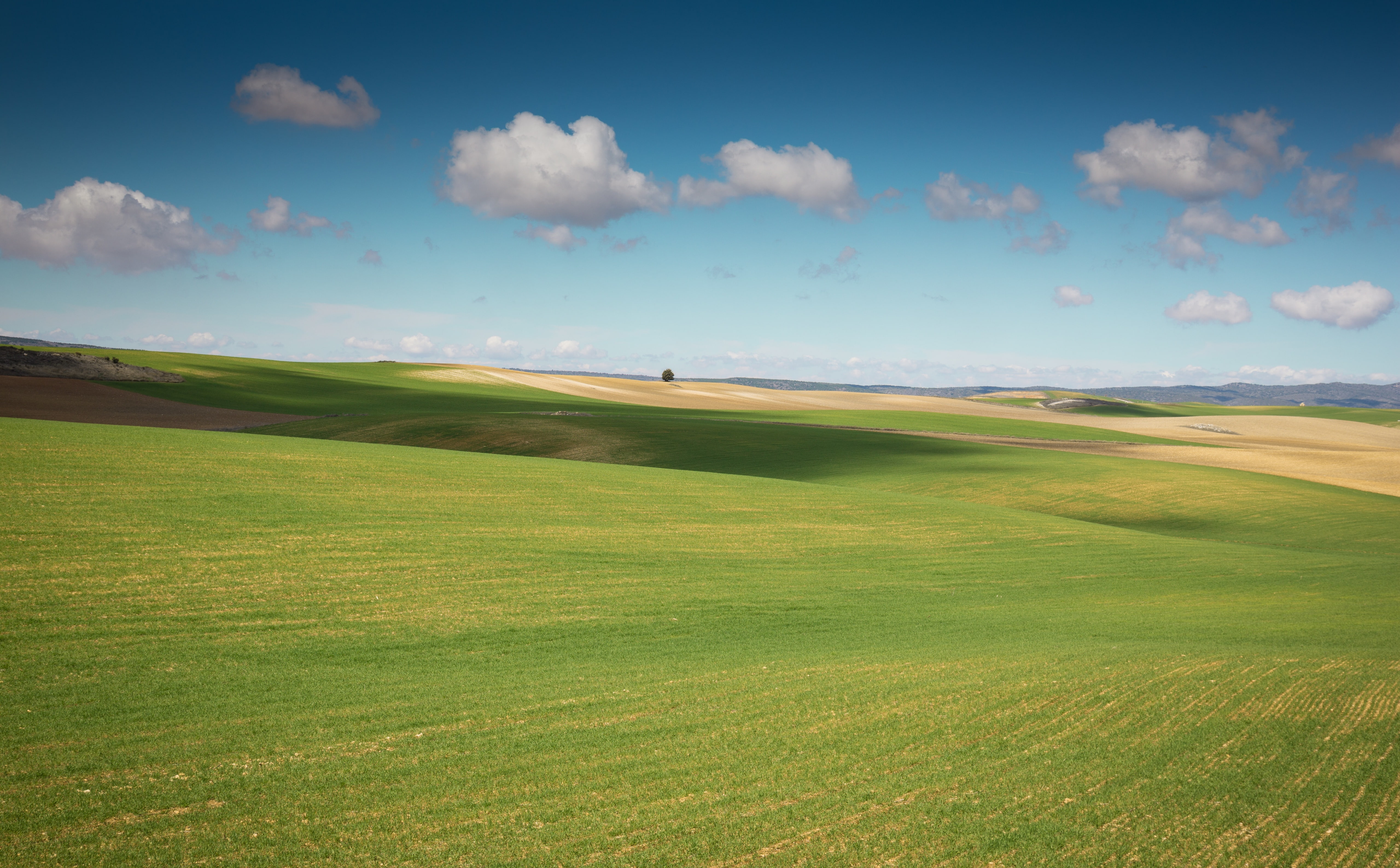 day, Mark, field, canon5d, leisure activity, Castilla-La Mancha, environment, canon5dmk3, green color, Fields, no people, cloud - sky, Photography, activity, HD Wallpaper